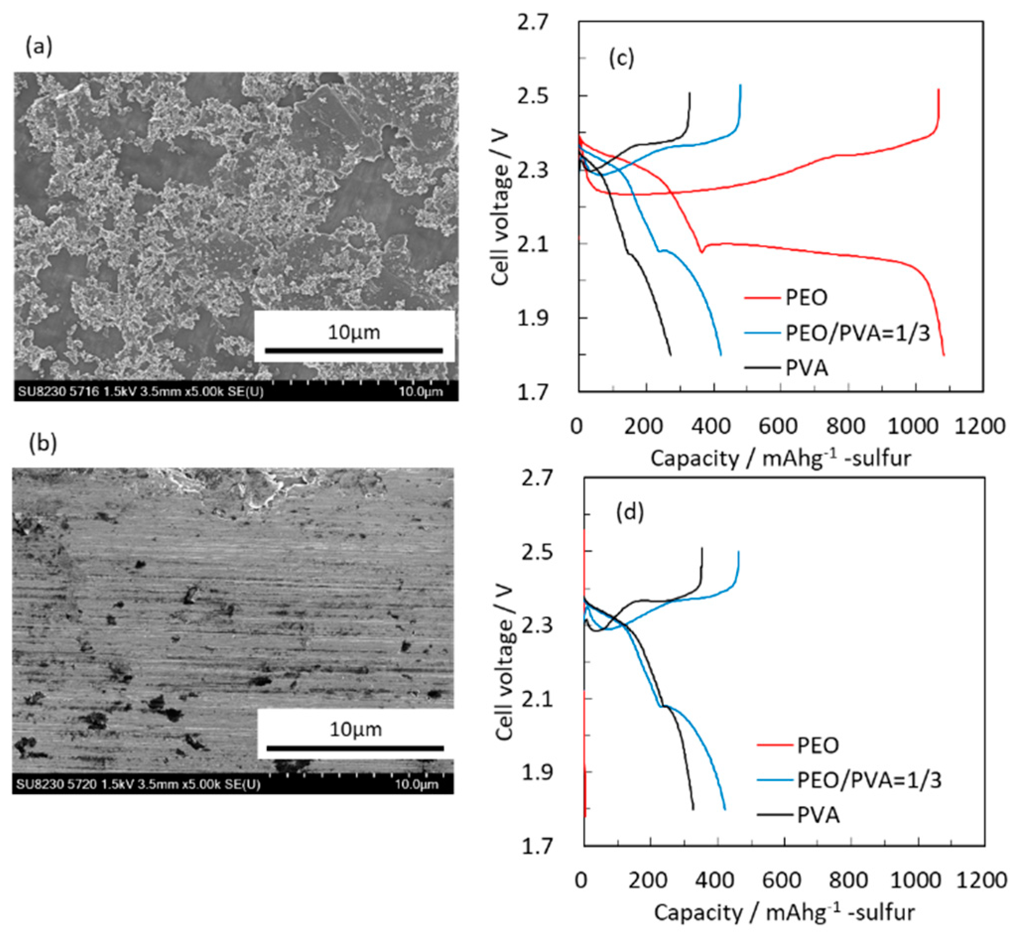 Molecules 28 04568 g001
