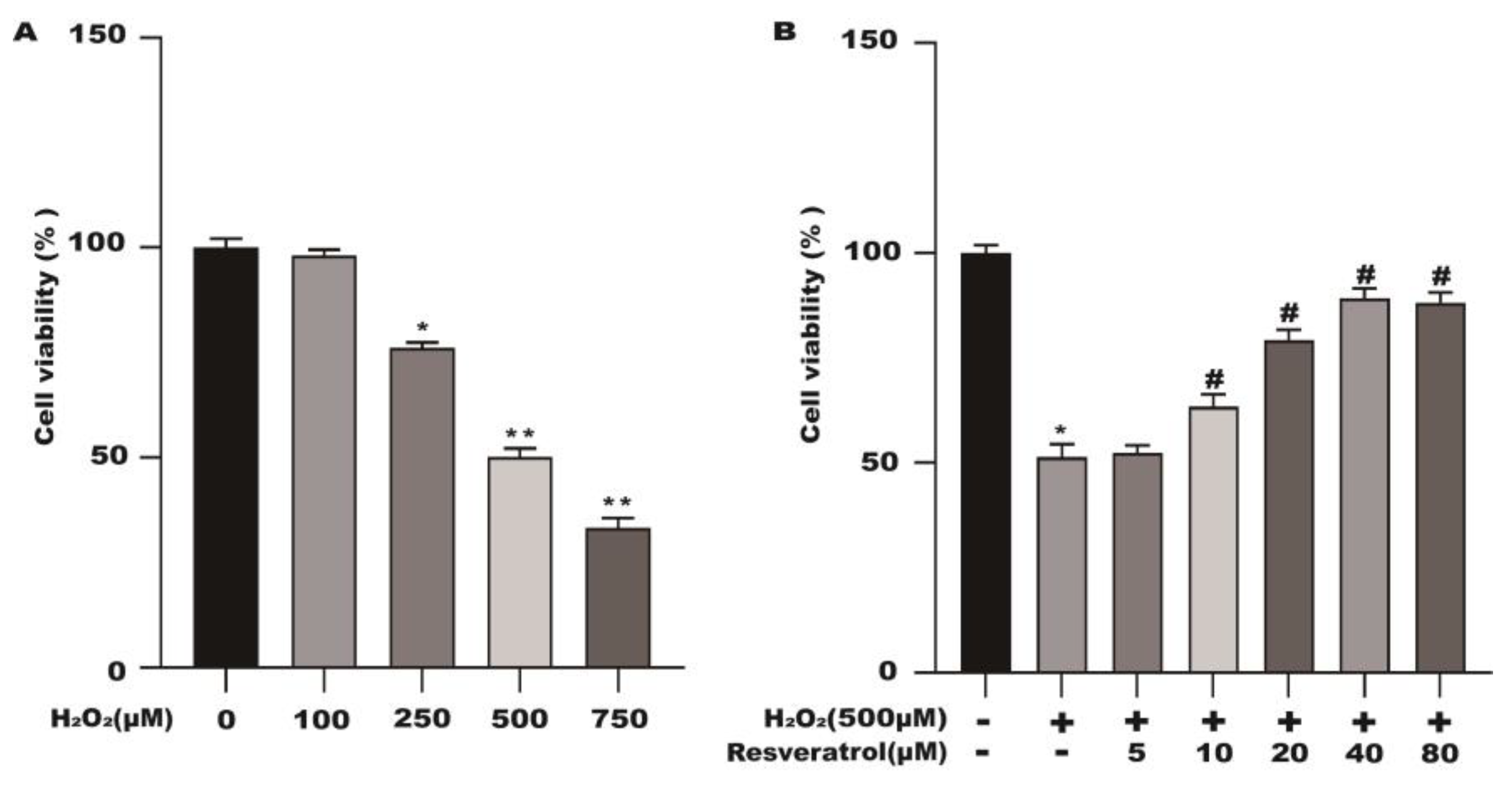 Molecules 28 04569 g007 Molecules 28 04569 g007