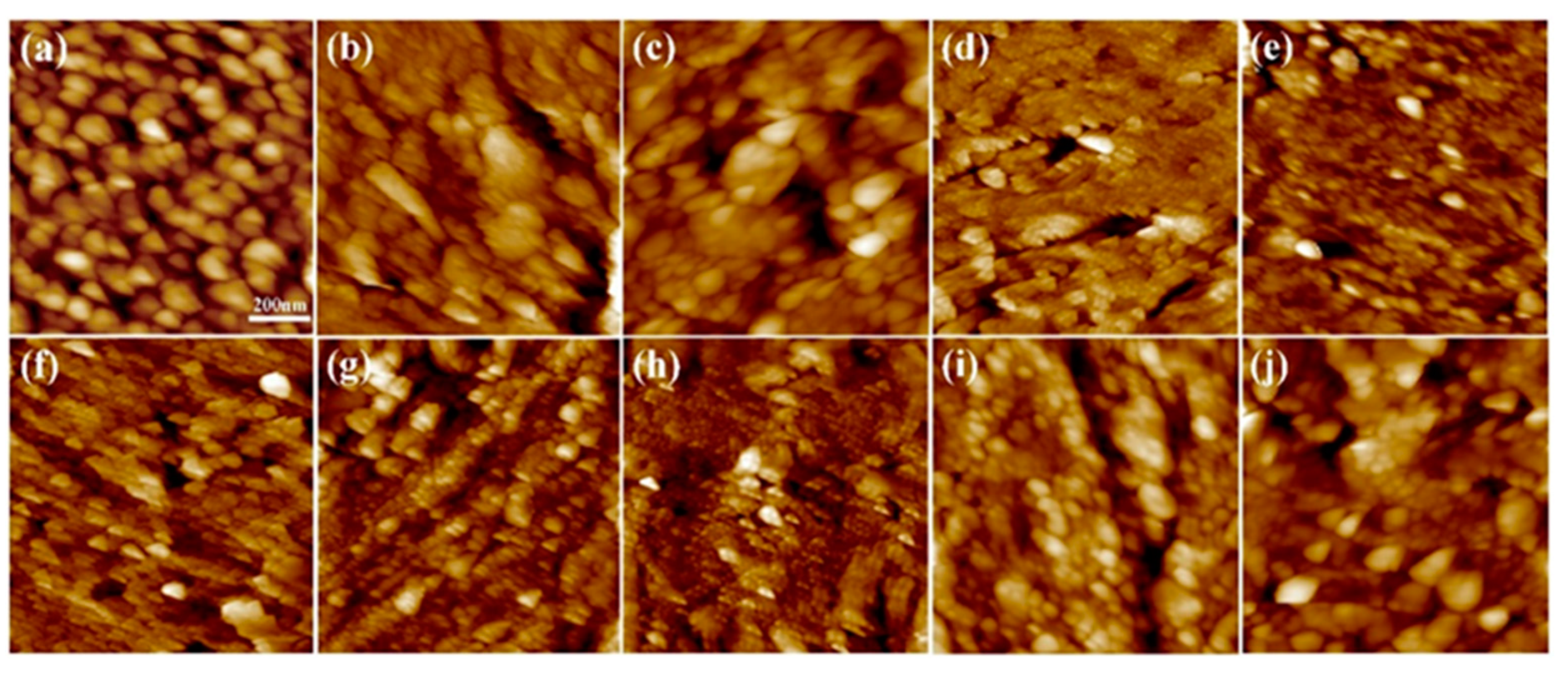 Molecules 28 04570 g004