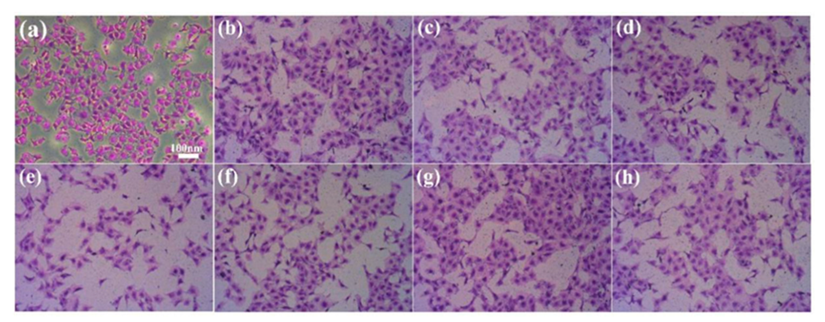 Molecules 28 04570 g007