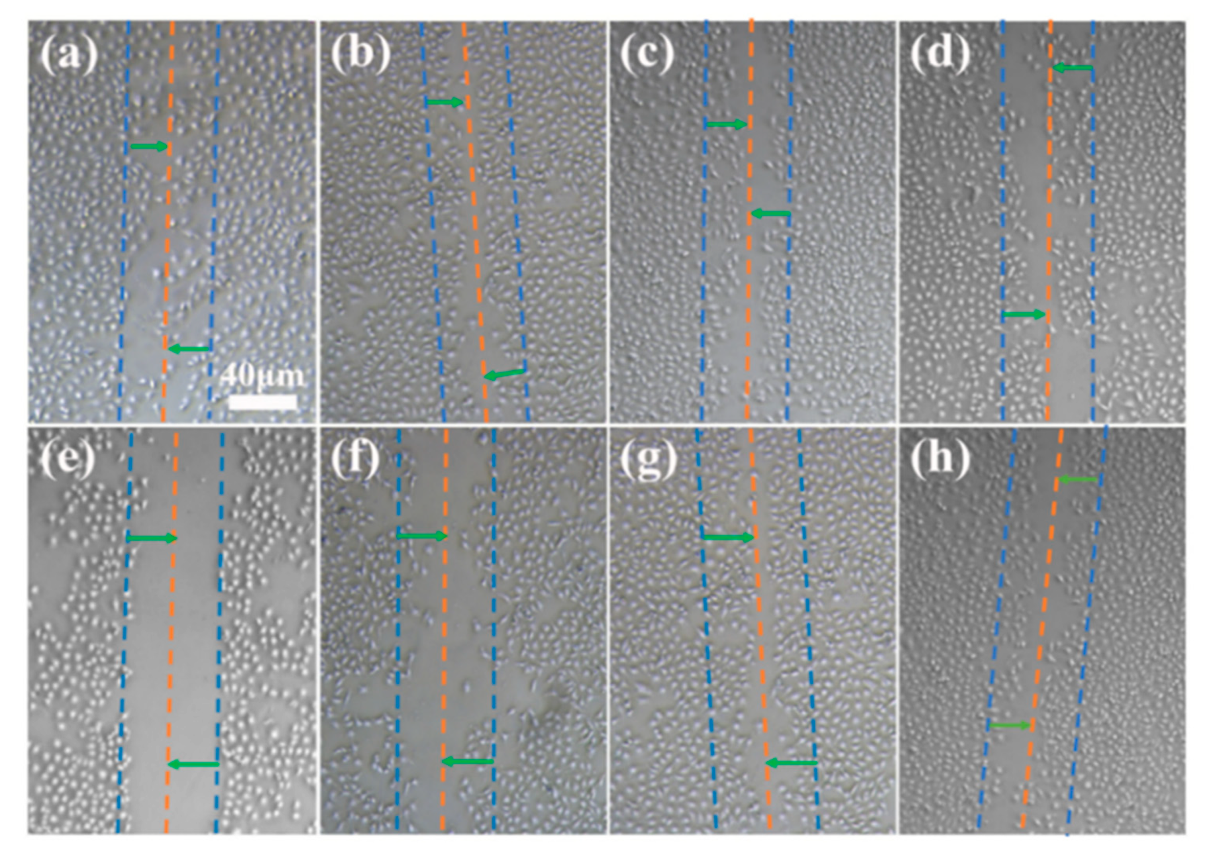 Molecules 28 04570 g008