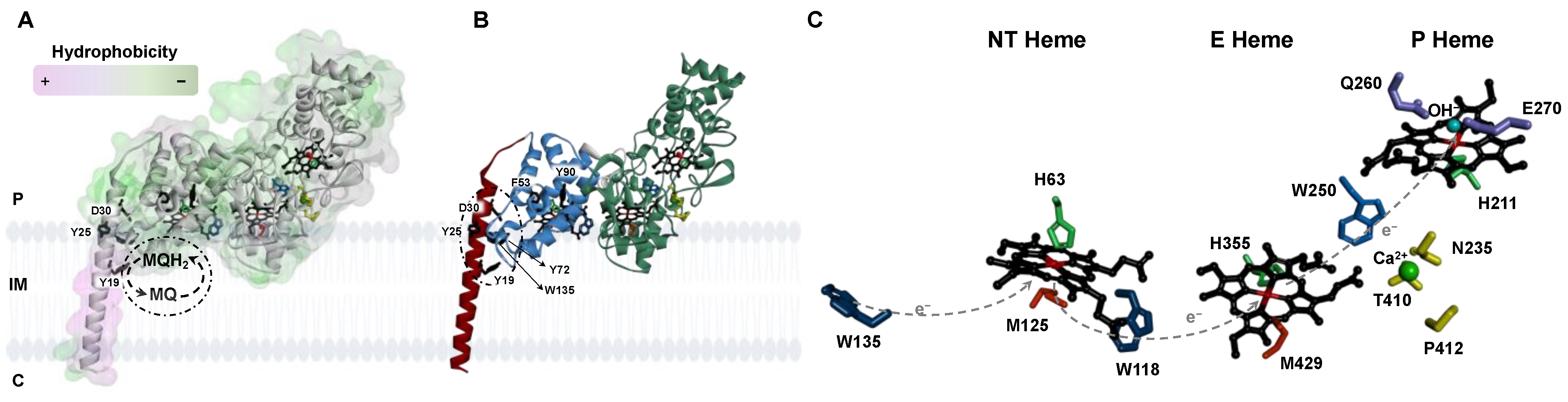 Molecules 28 04598 g001 Molecules 28 04598 g001