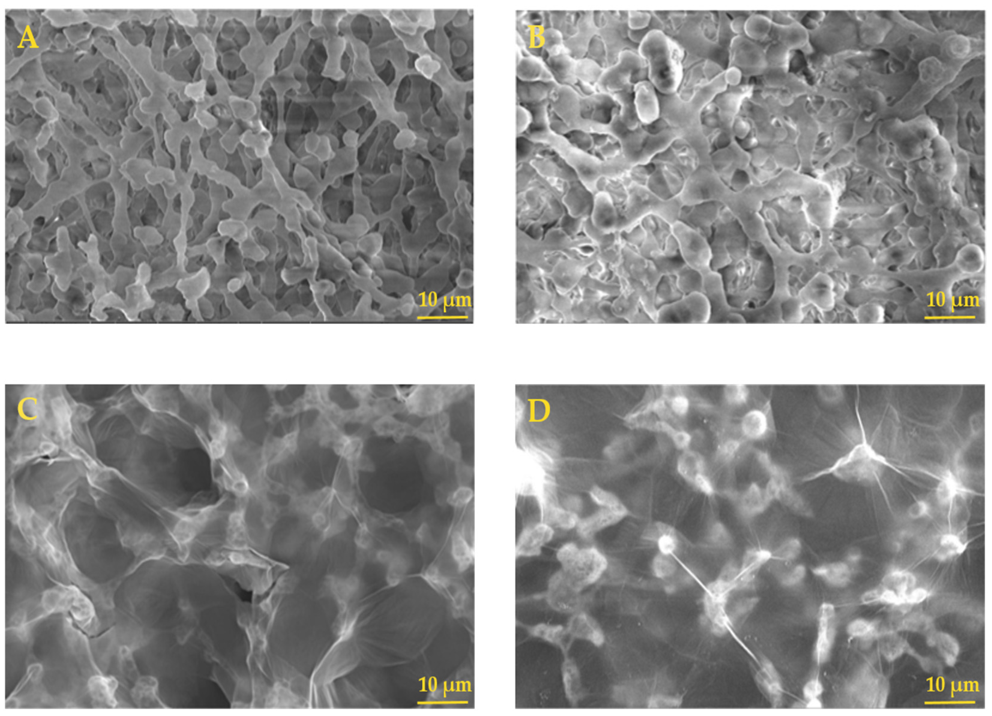 Molecules 28 04599 g002