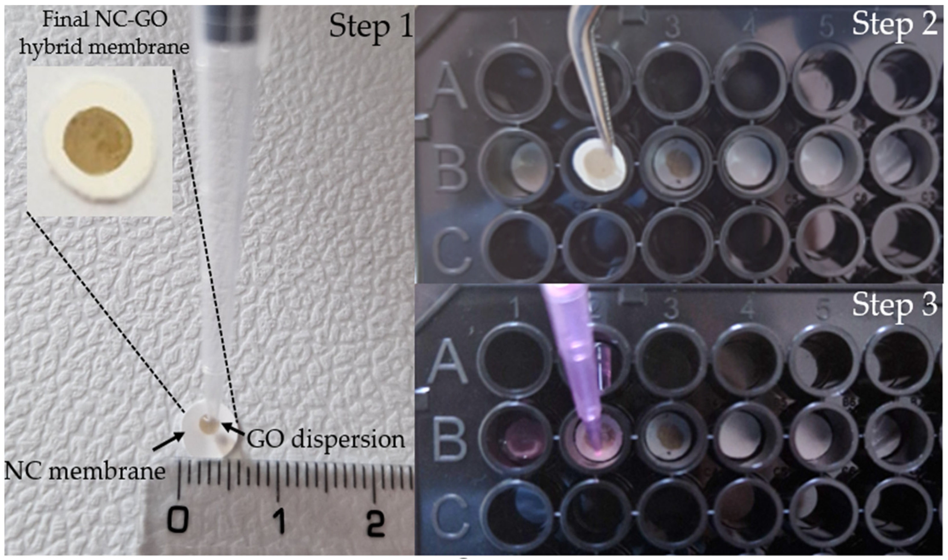 Molecules 28 04599 g005