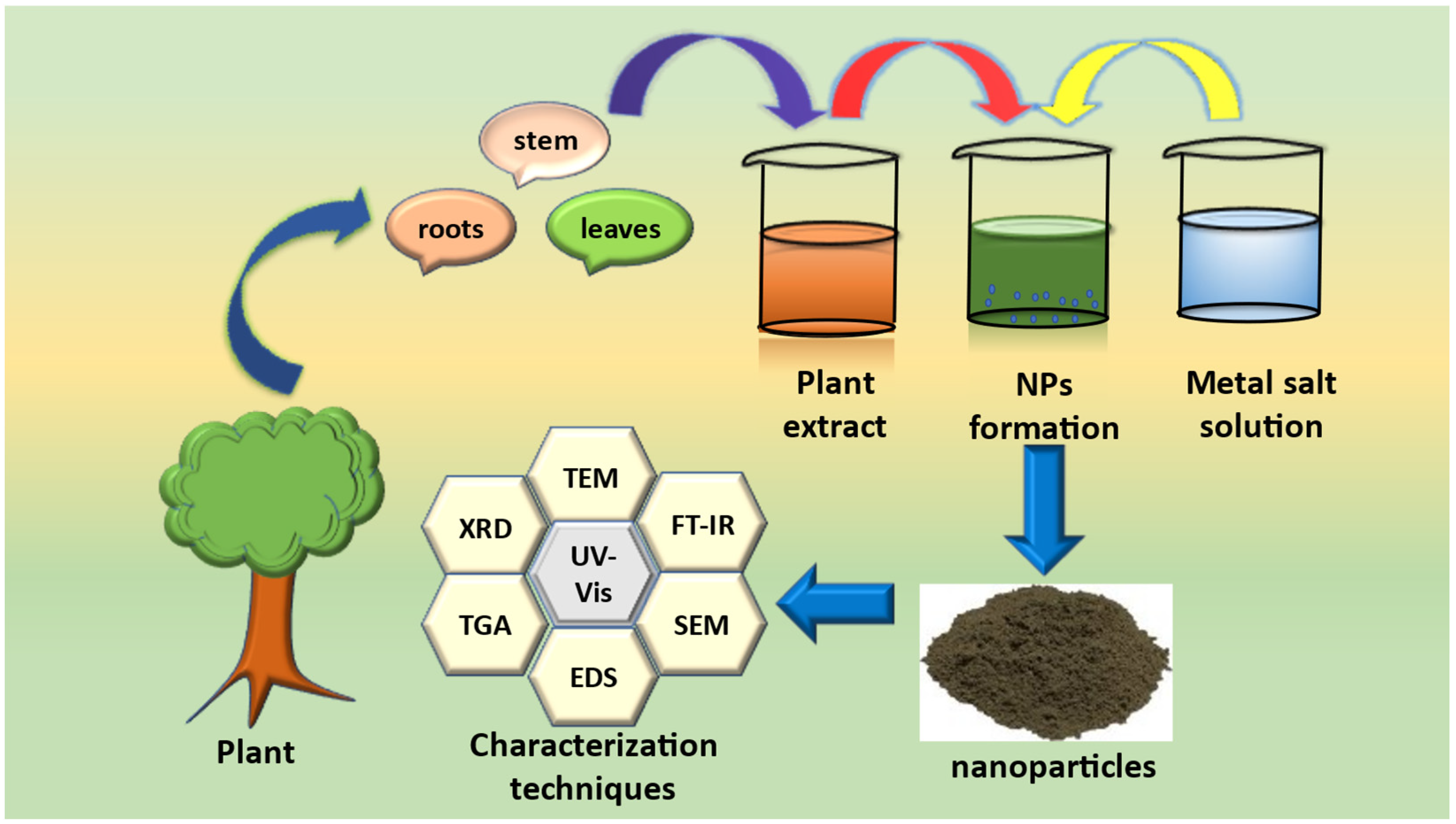 Molecules 28 04600 g003