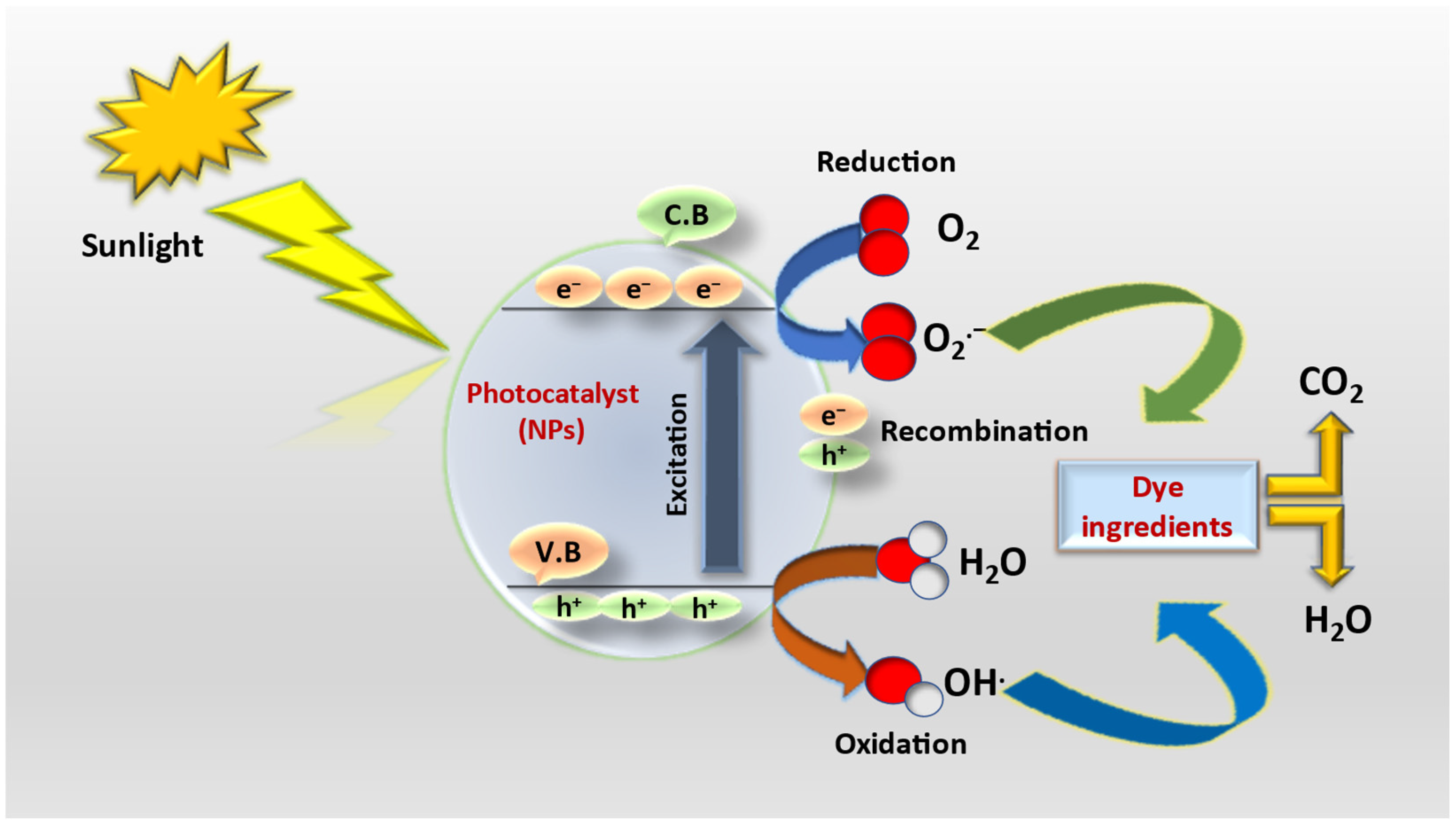 Molecules 28 04600 g004