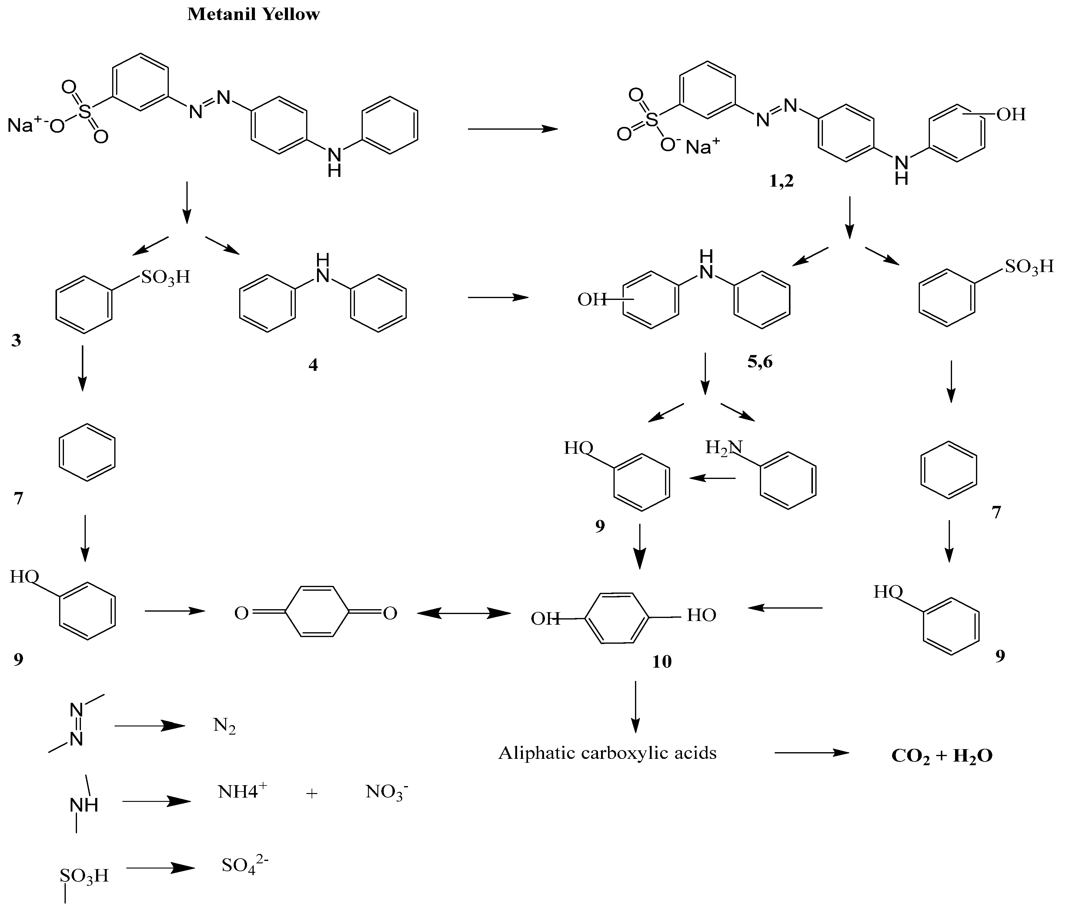 Molecules 28 04600 sch001
