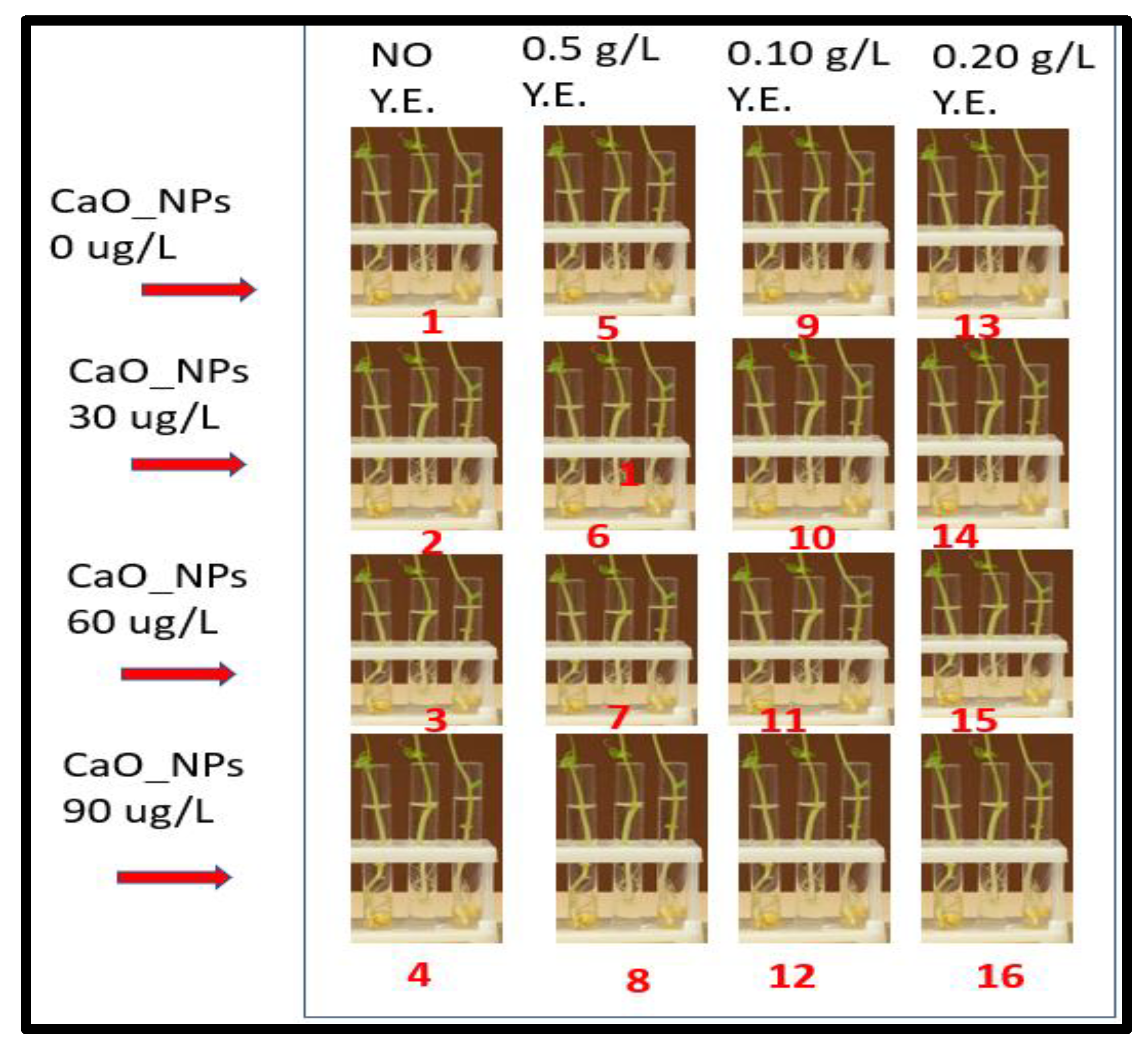 Molecules 28 04607 g003 Molecules 28 04607 g003