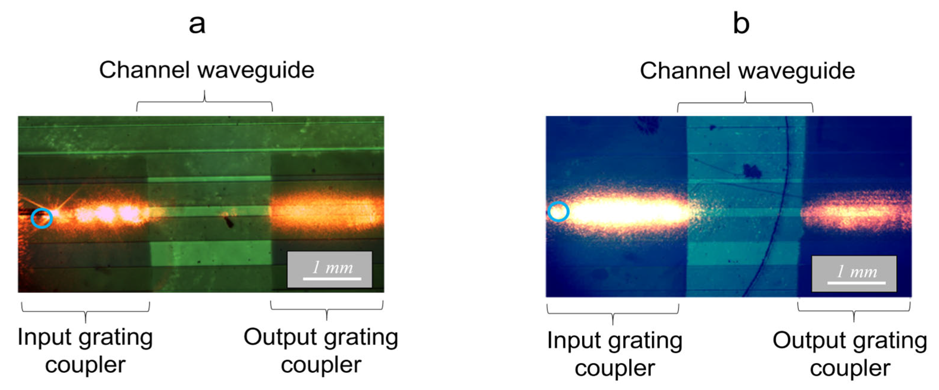 Molecules 28 04608 g008 Molecules 28 04608 g008