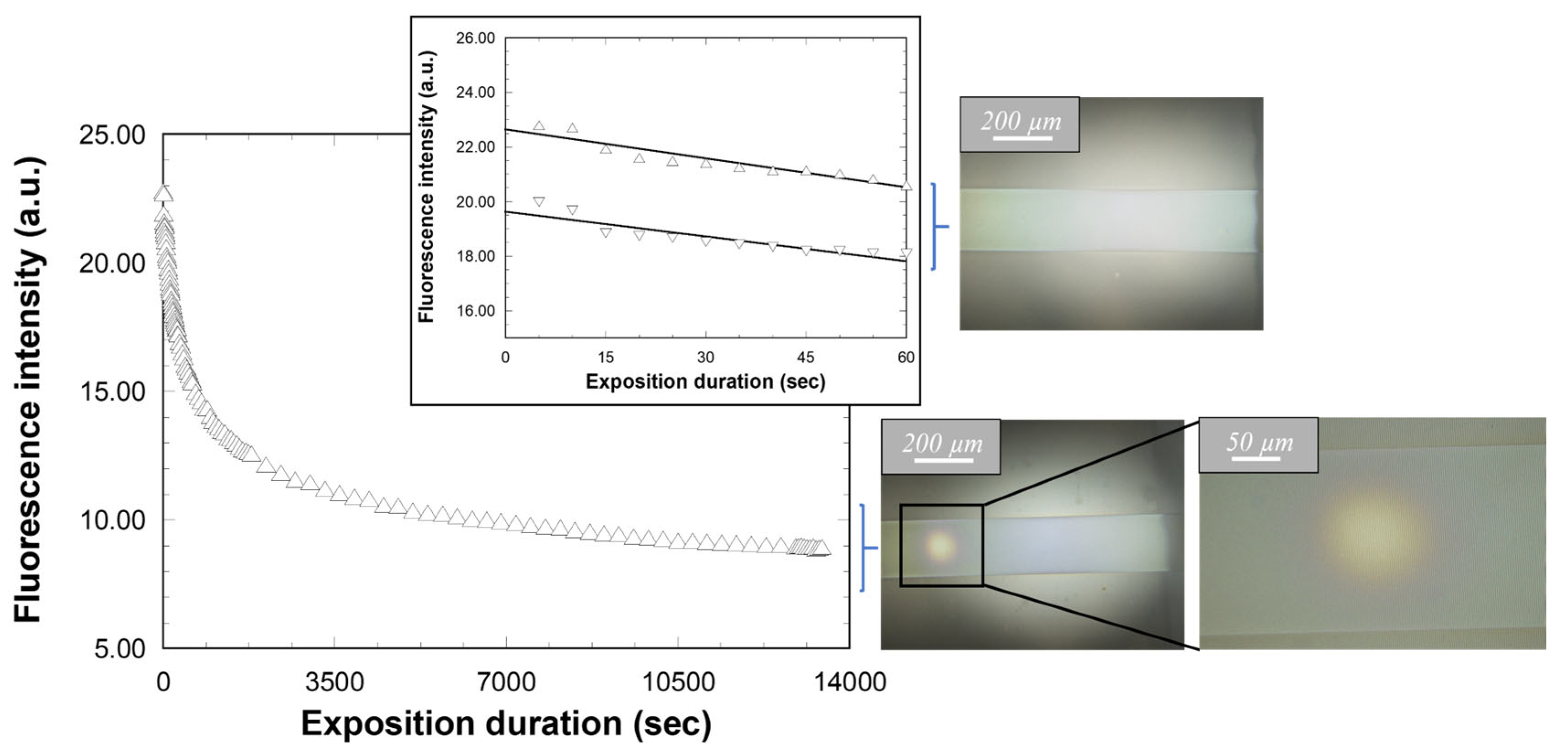 Molecules 28 04608 g011 Molecules 28 04608 g011