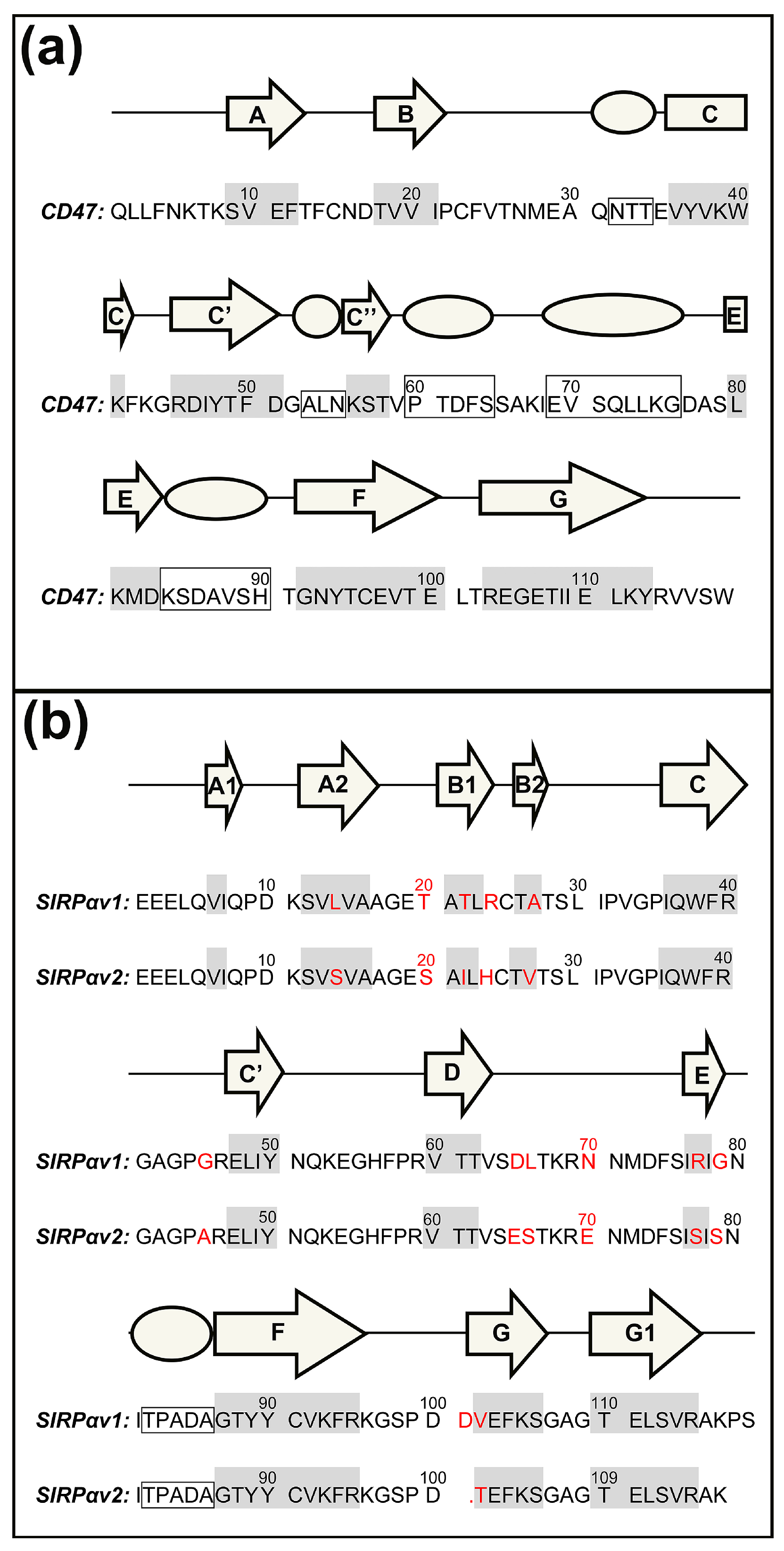 Molecules 28 04610 g002 Molecules 28 04610 g002