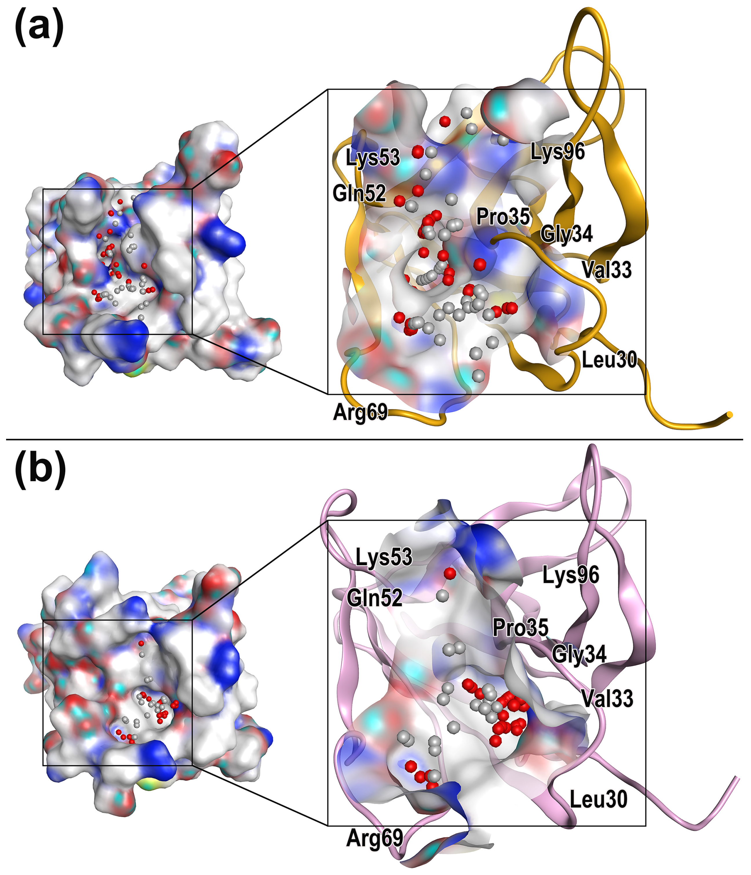 Molecules 28 04610 g005 Molecules 28 04610 g005
