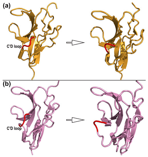 Binding Mechanism of CD47 with SIRPα Variants and Its Antibody ...