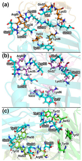Binding Mechanism of CD47 with SIRPα Variants and Its Antibody ...