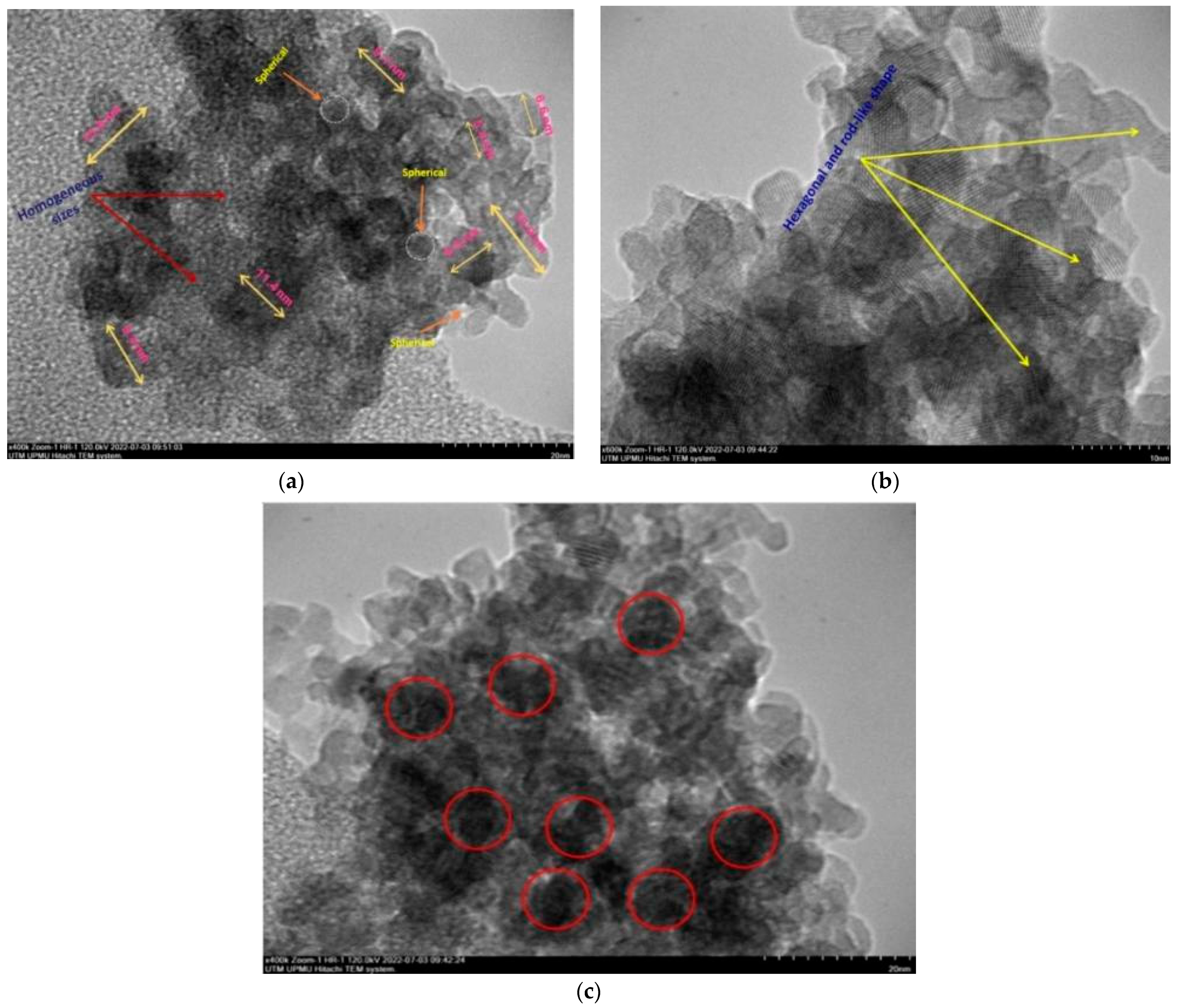 Molecules 28 04614 g003 Molecules 28 04614 g003