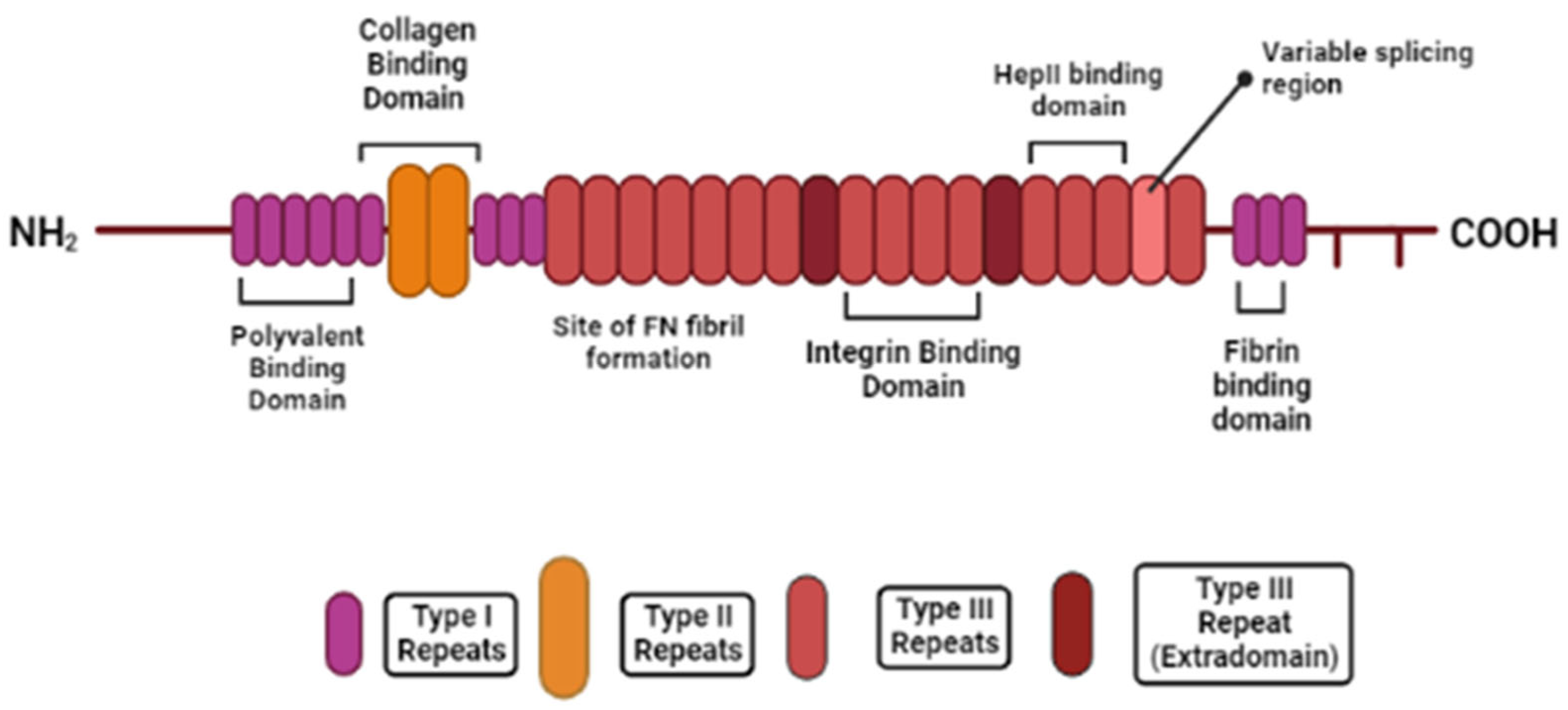 Molecules 28 04616 g002 Molecules 28 04616 g002