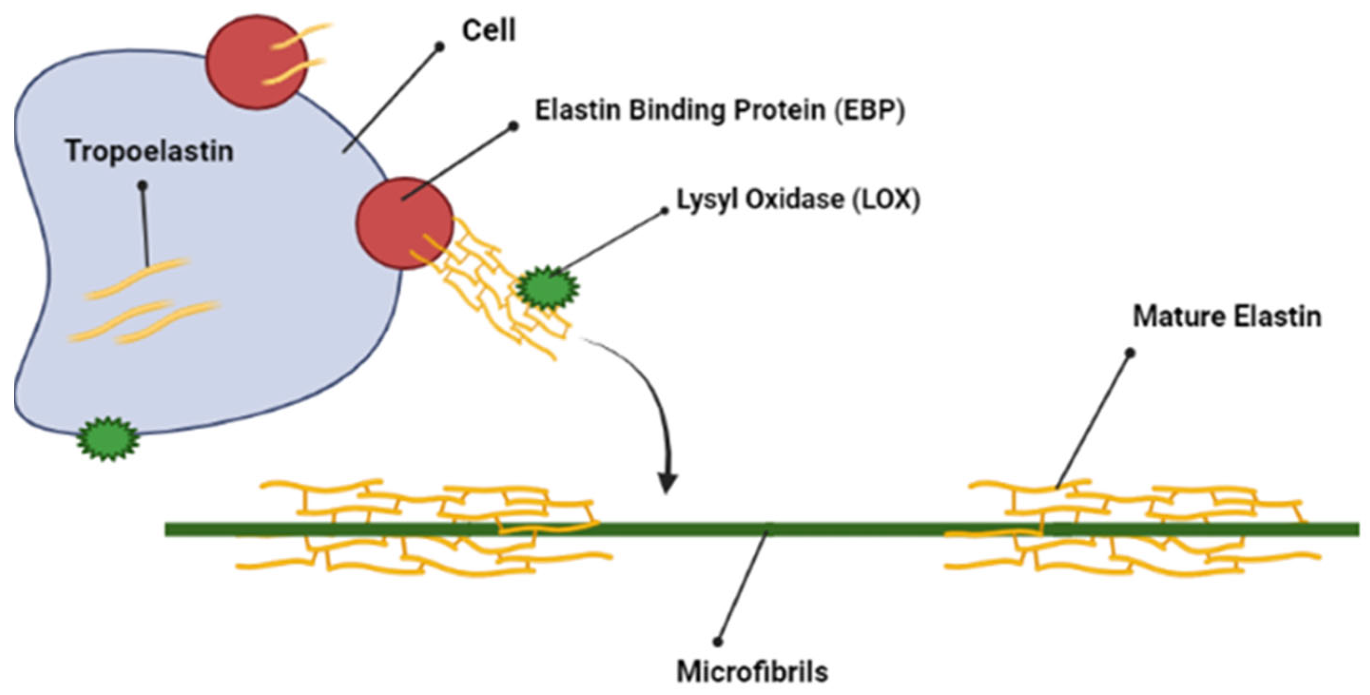 Molecules 28 04616 g004 Molecules 28 04616 g004