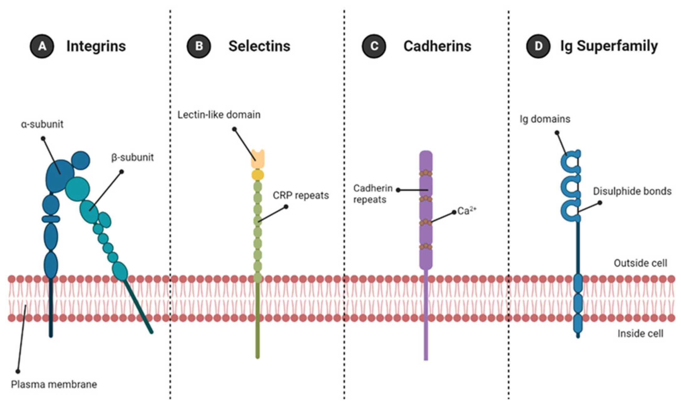 Molecules 28 04616 g005 Molecules 28 04616 g005