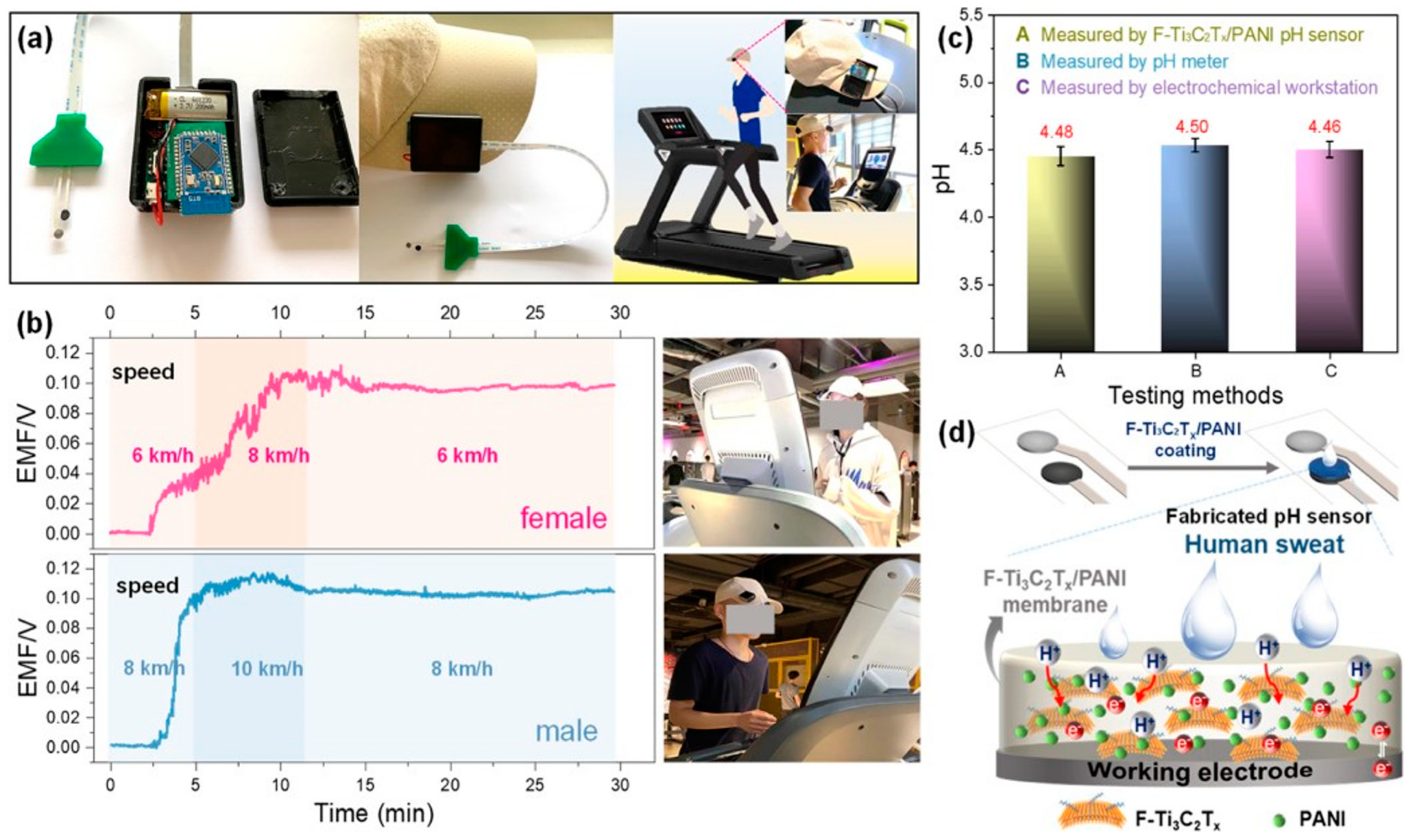 Molecules 28 04617 g010 Molecules 28 04617 g010