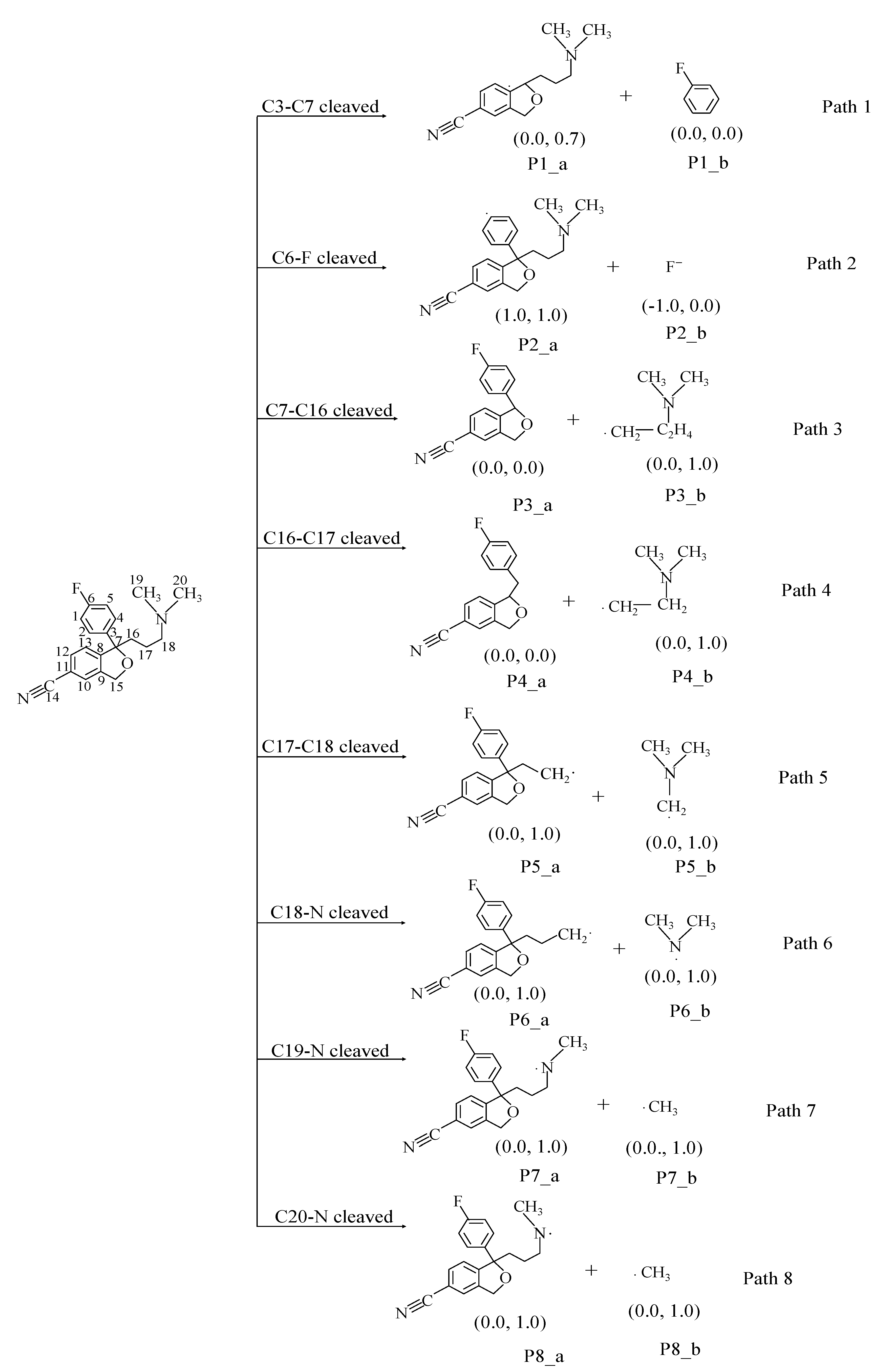 Molecules 28 04620 g006 Molecules 28 04620 g006