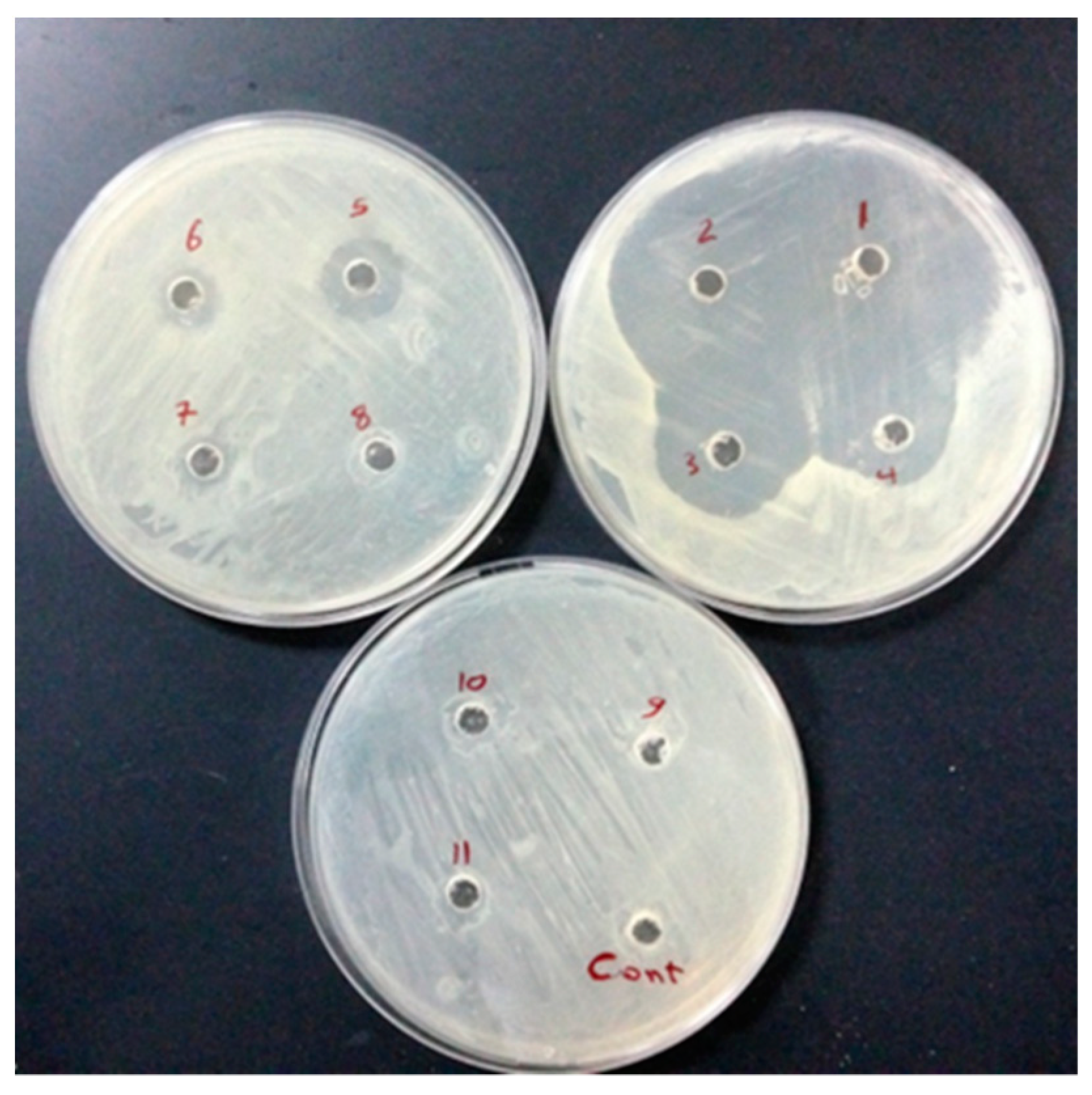 Molecules 28 04629 g008