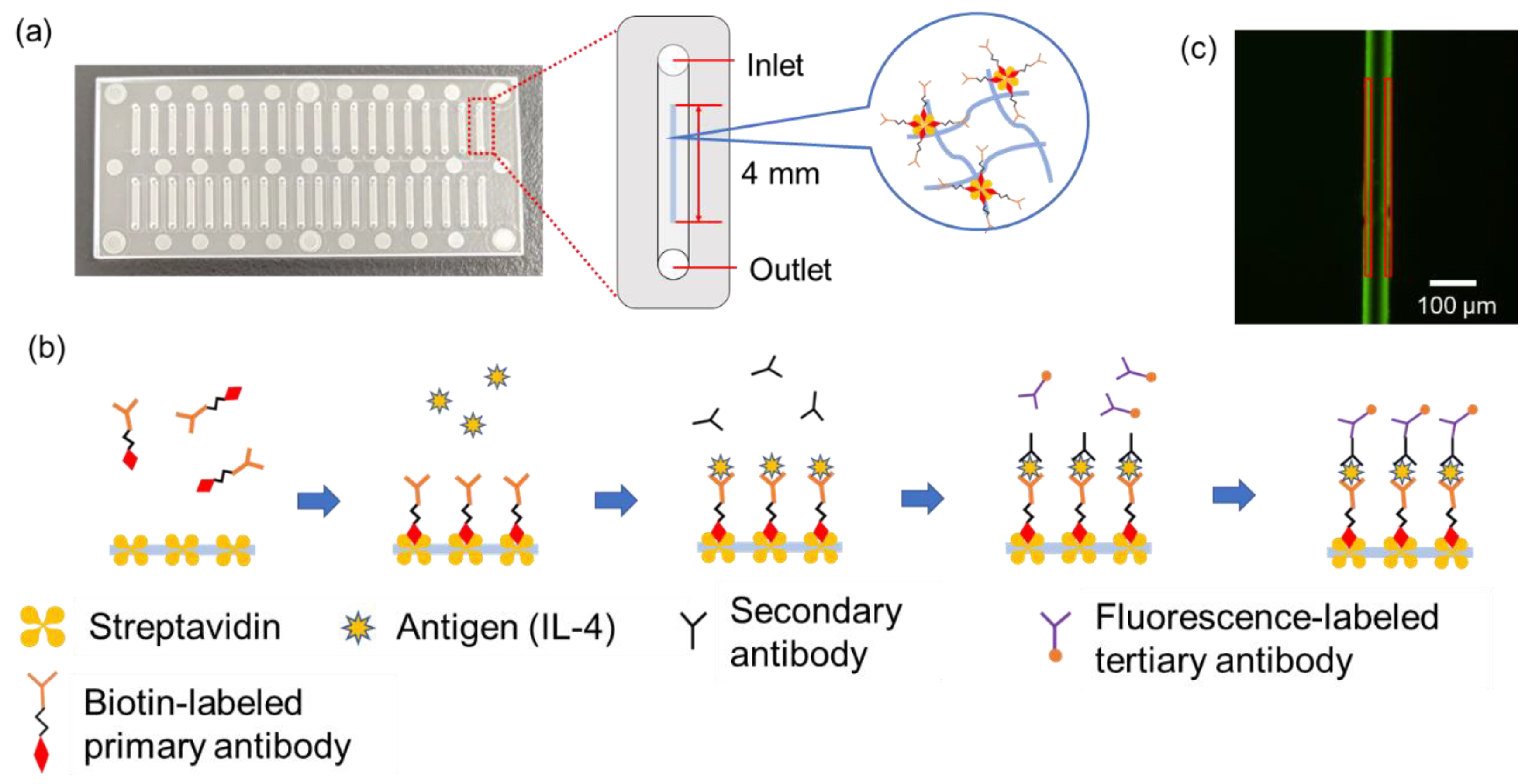 Molecules 28 04635 g005
