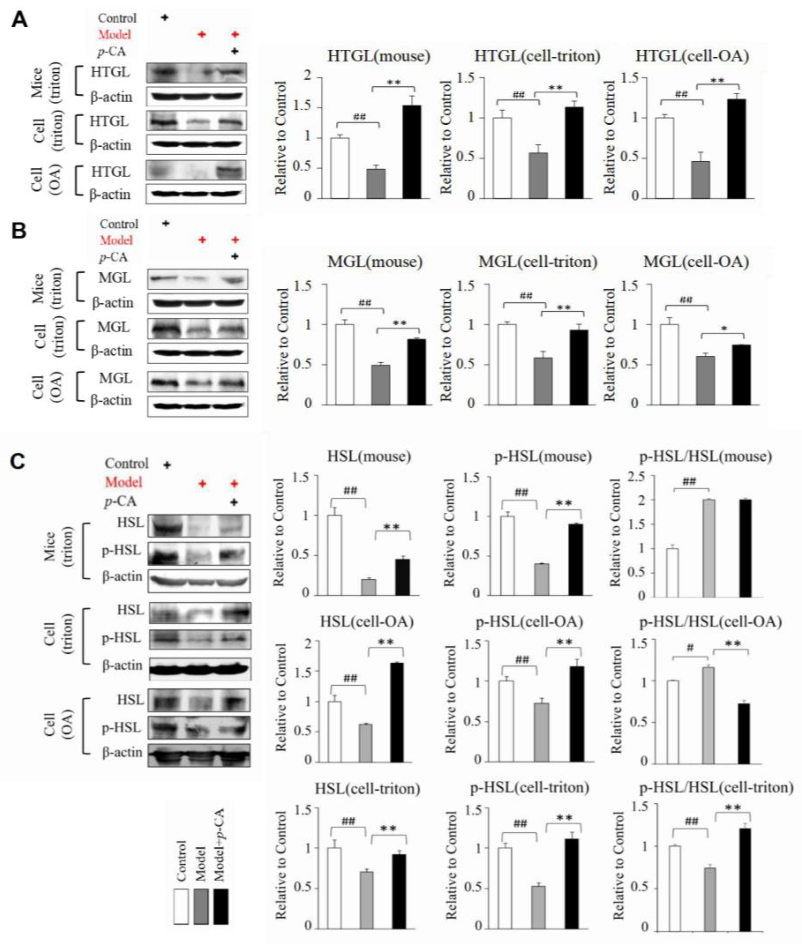 Molecules 28 04641 g002