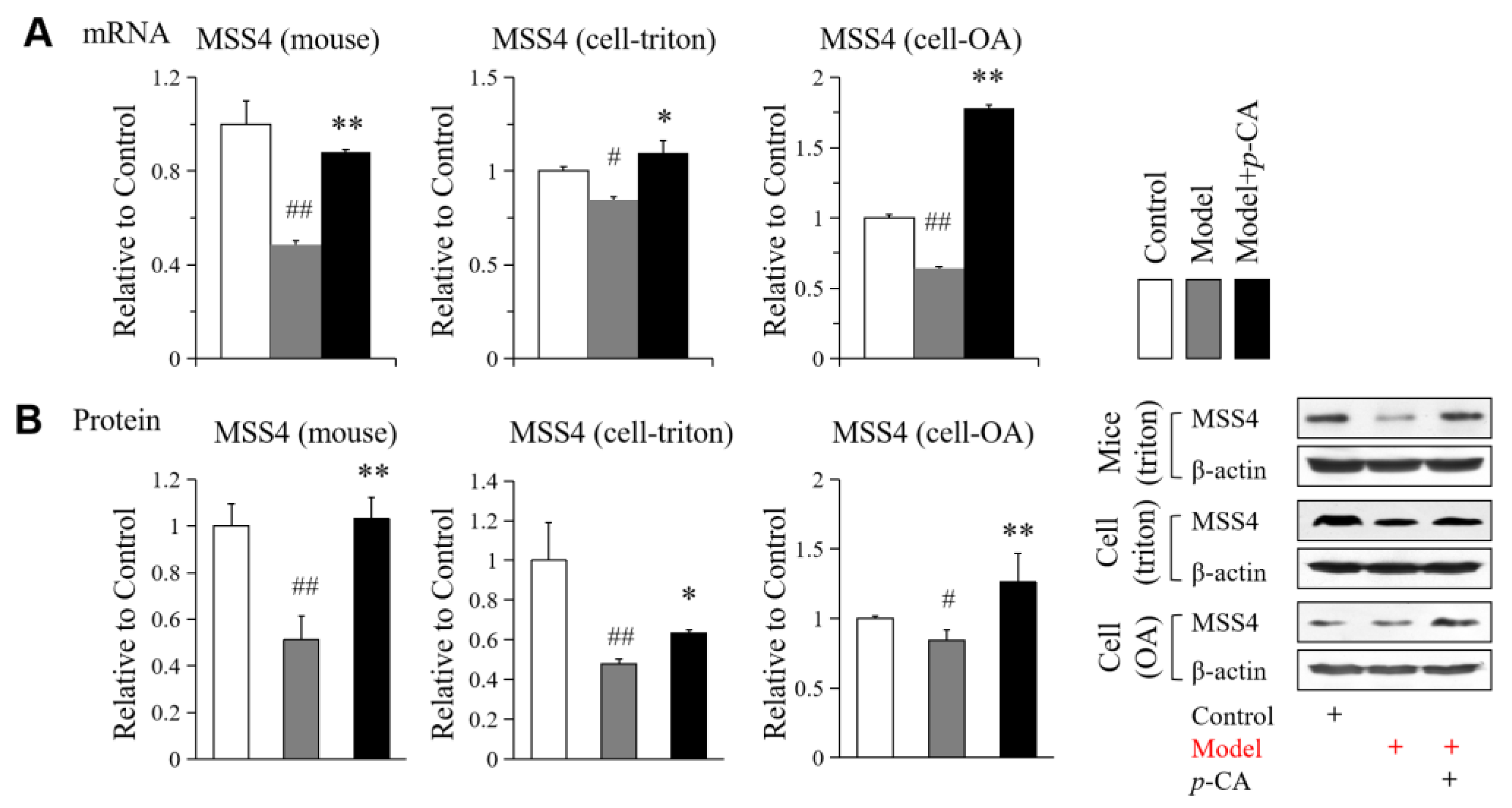 Molecules 28 04641 g003