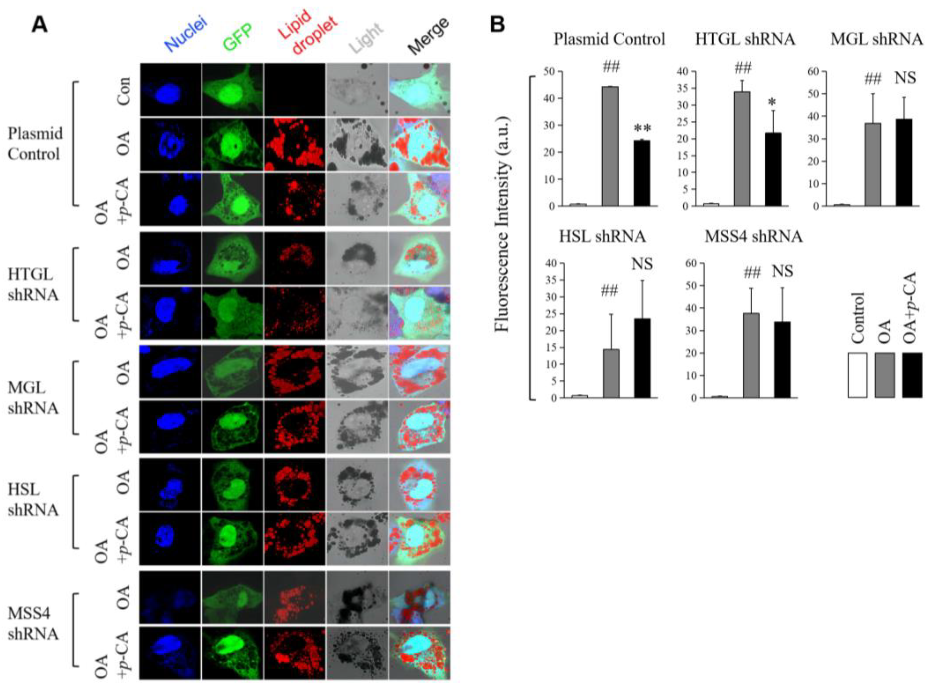 Molecules 28 04641 g004