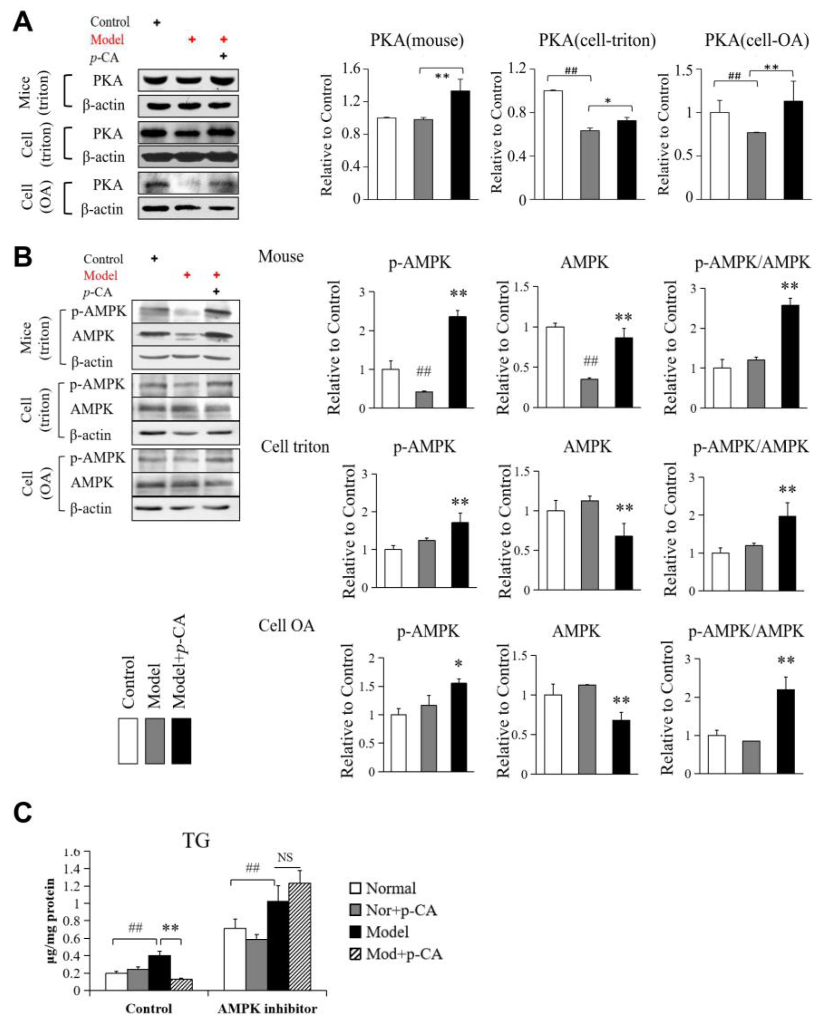 Molecules 28 04641 g005