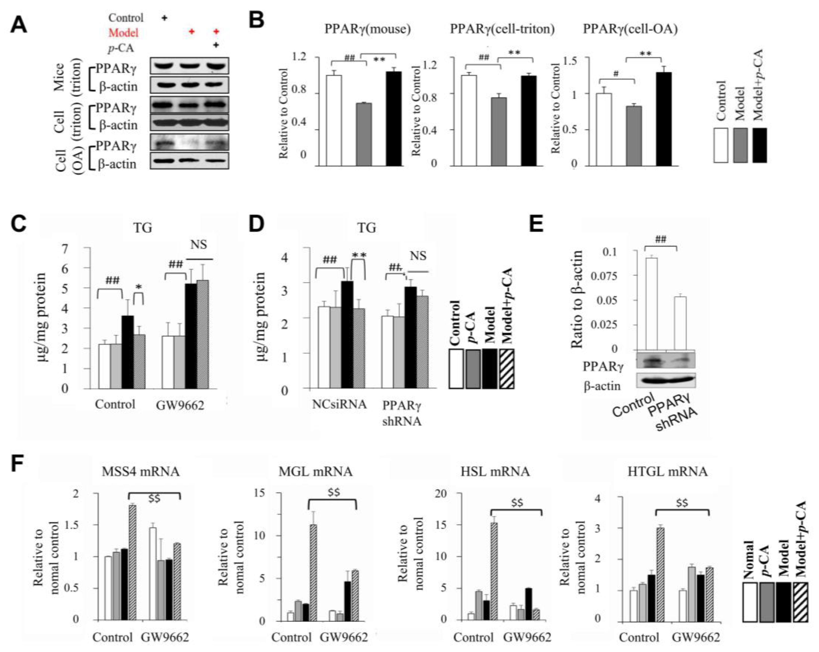 Molecules 28 04641 g006
