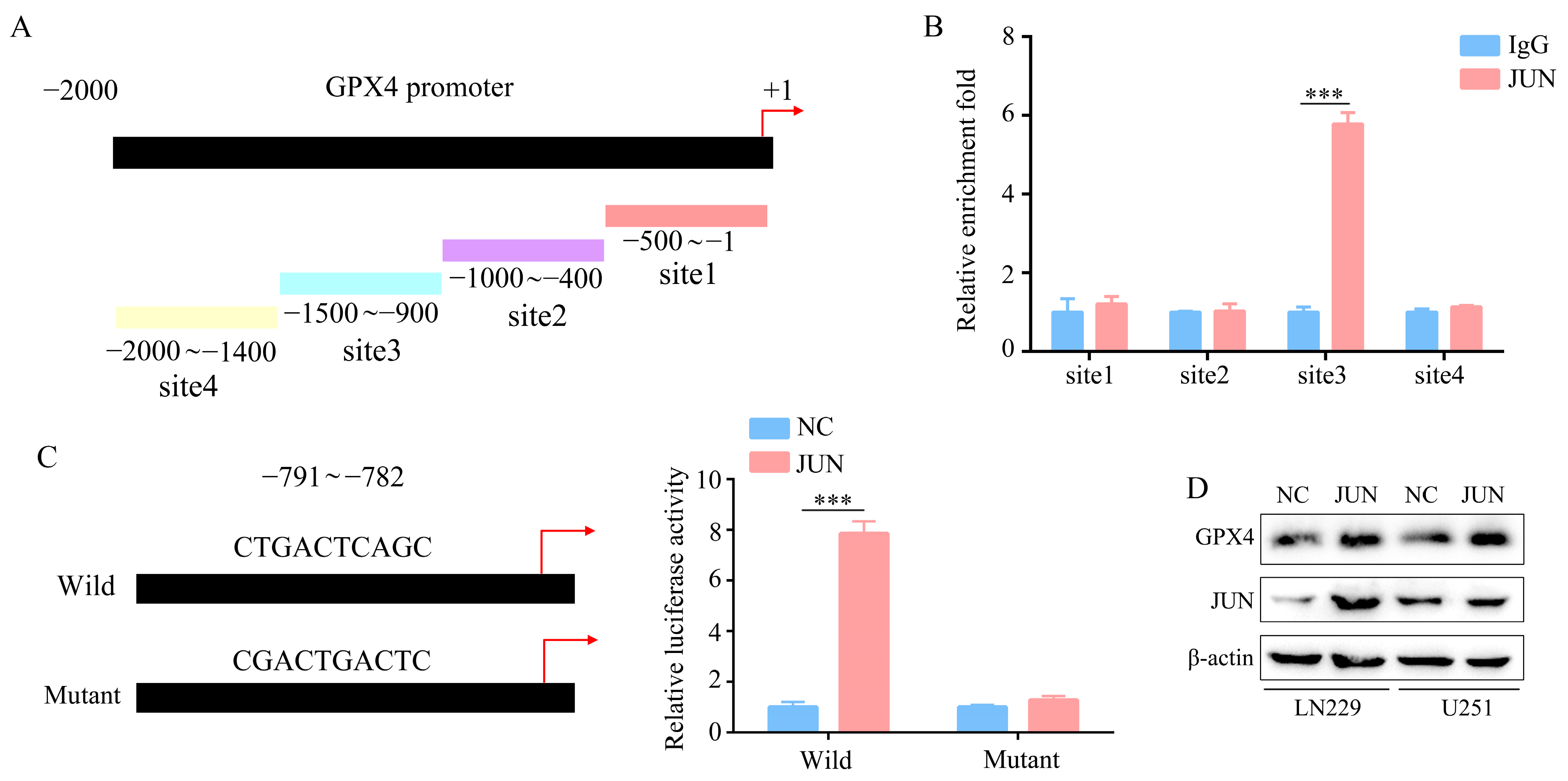 Molecules 28 04643 g005 Molecules 28 04643 g005