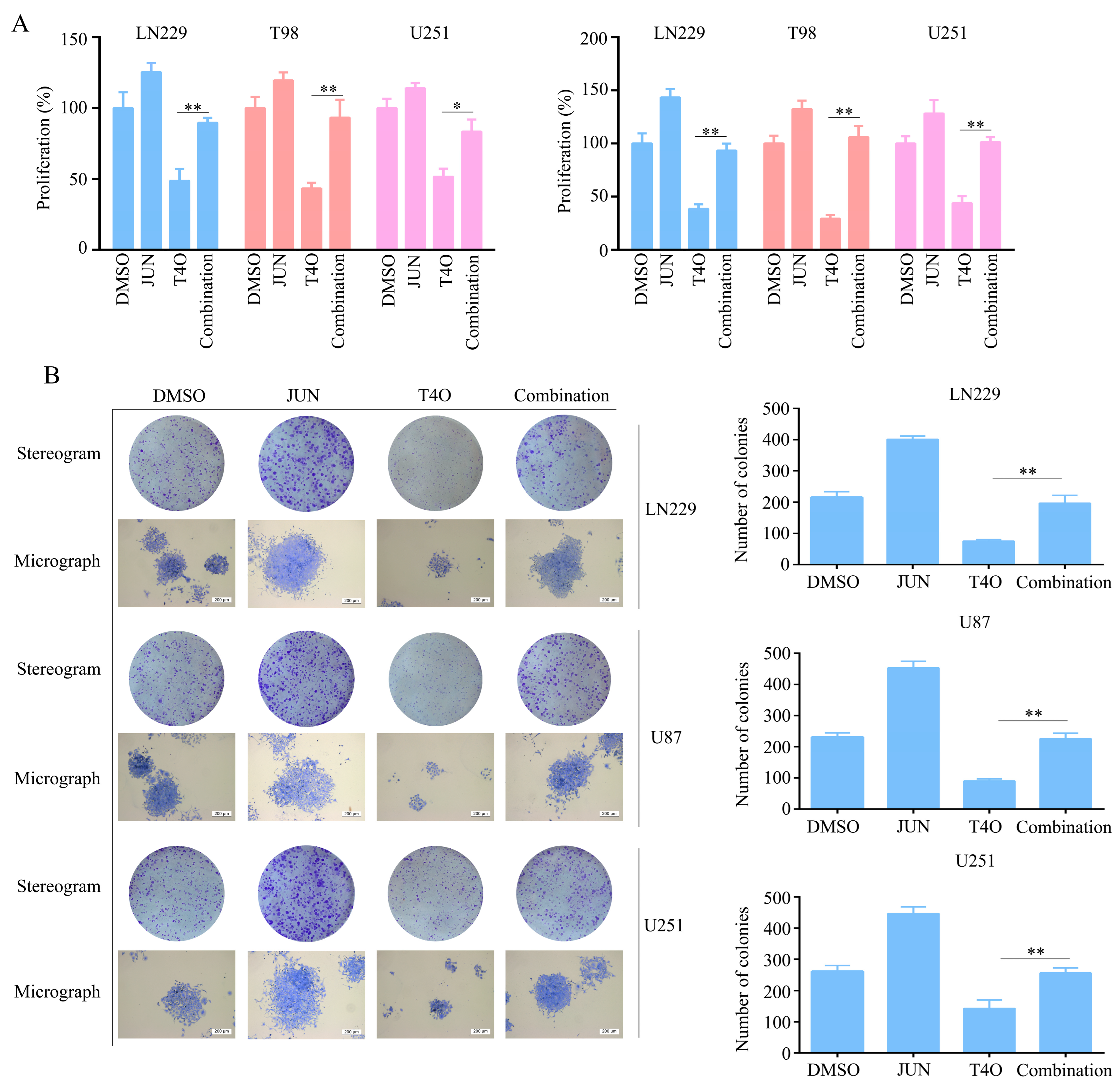 Molecules 28 04643 g006 Molecules 28 04643 g006