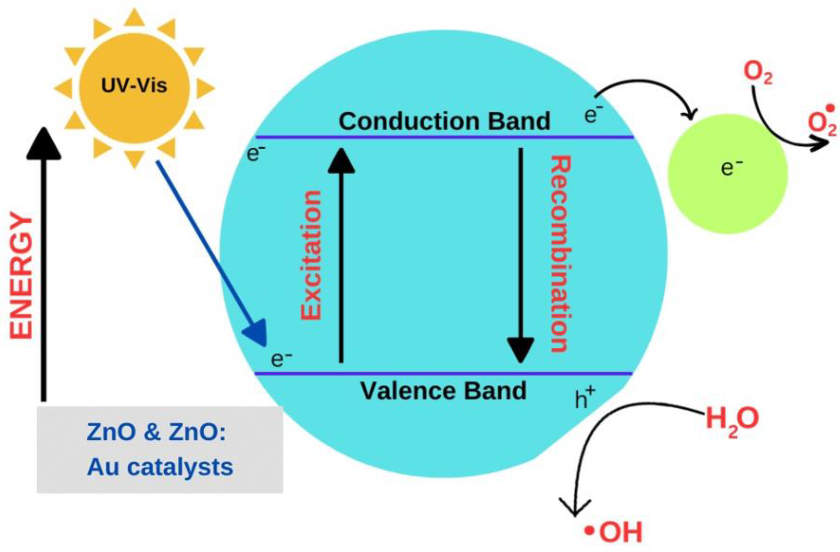 Molecules 28 04644 g010 Molecules 28 04644 g010