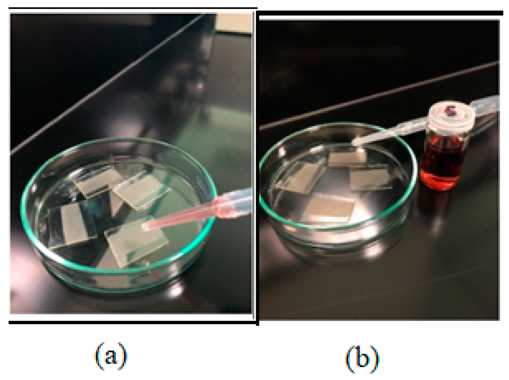 Molecules 28 04644 g016 Molecules 28 04644 g016