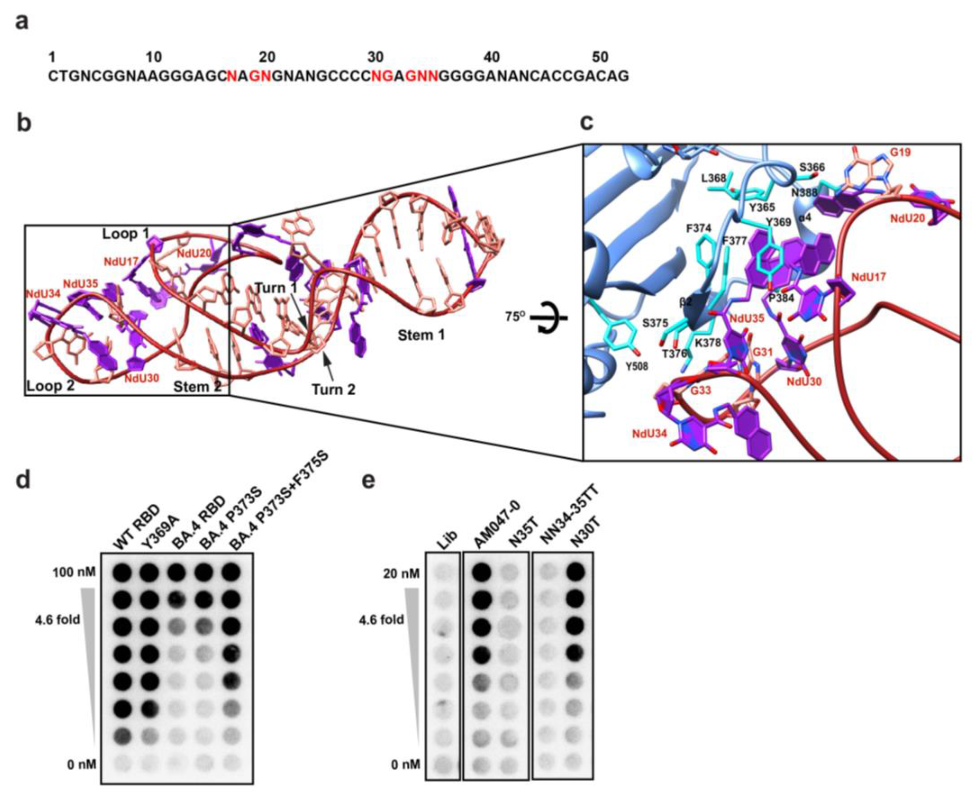 Molecules 28 04645 g004 Molecules 28 04645 g004