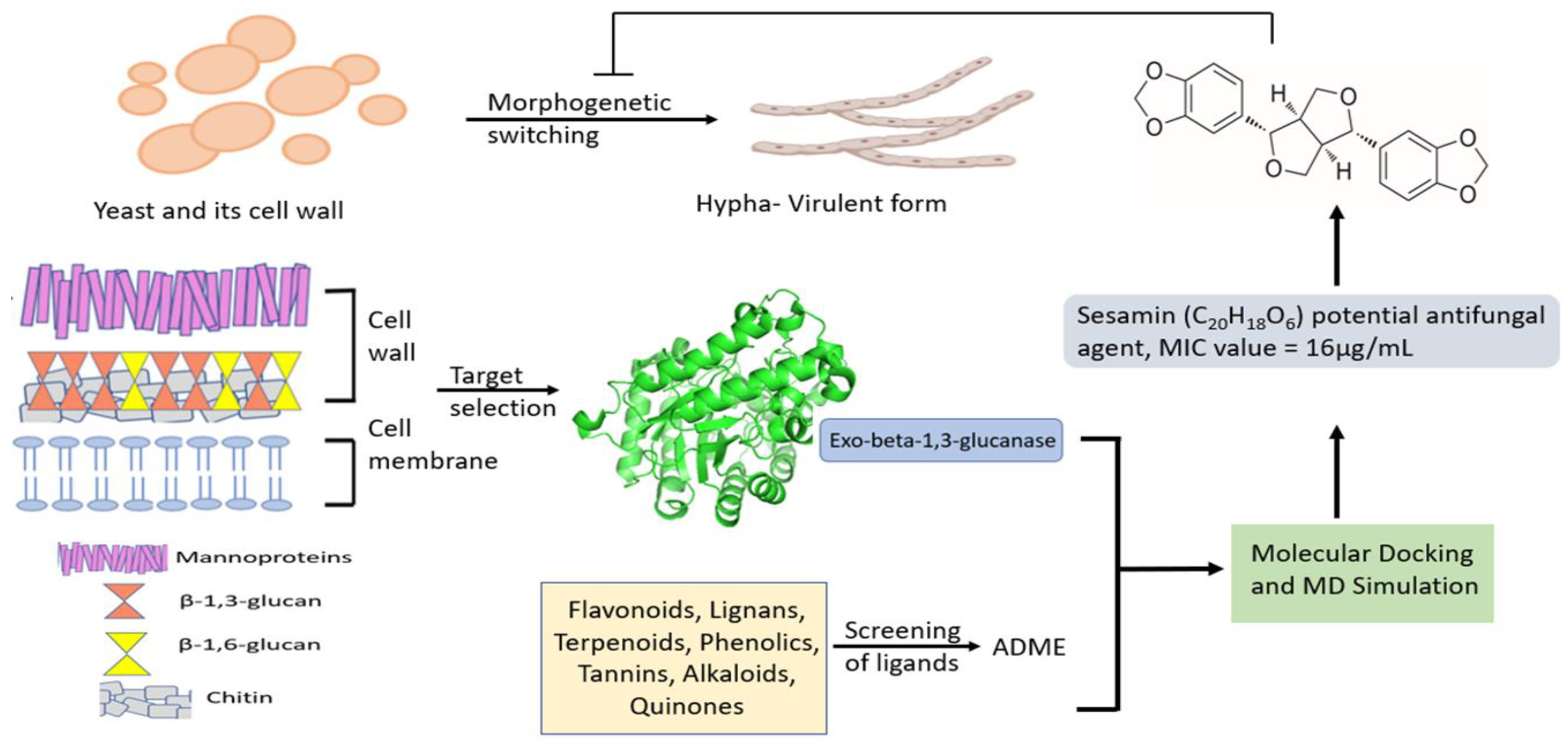Molecules 28 04658 g001 Molecules 28 04658 g001