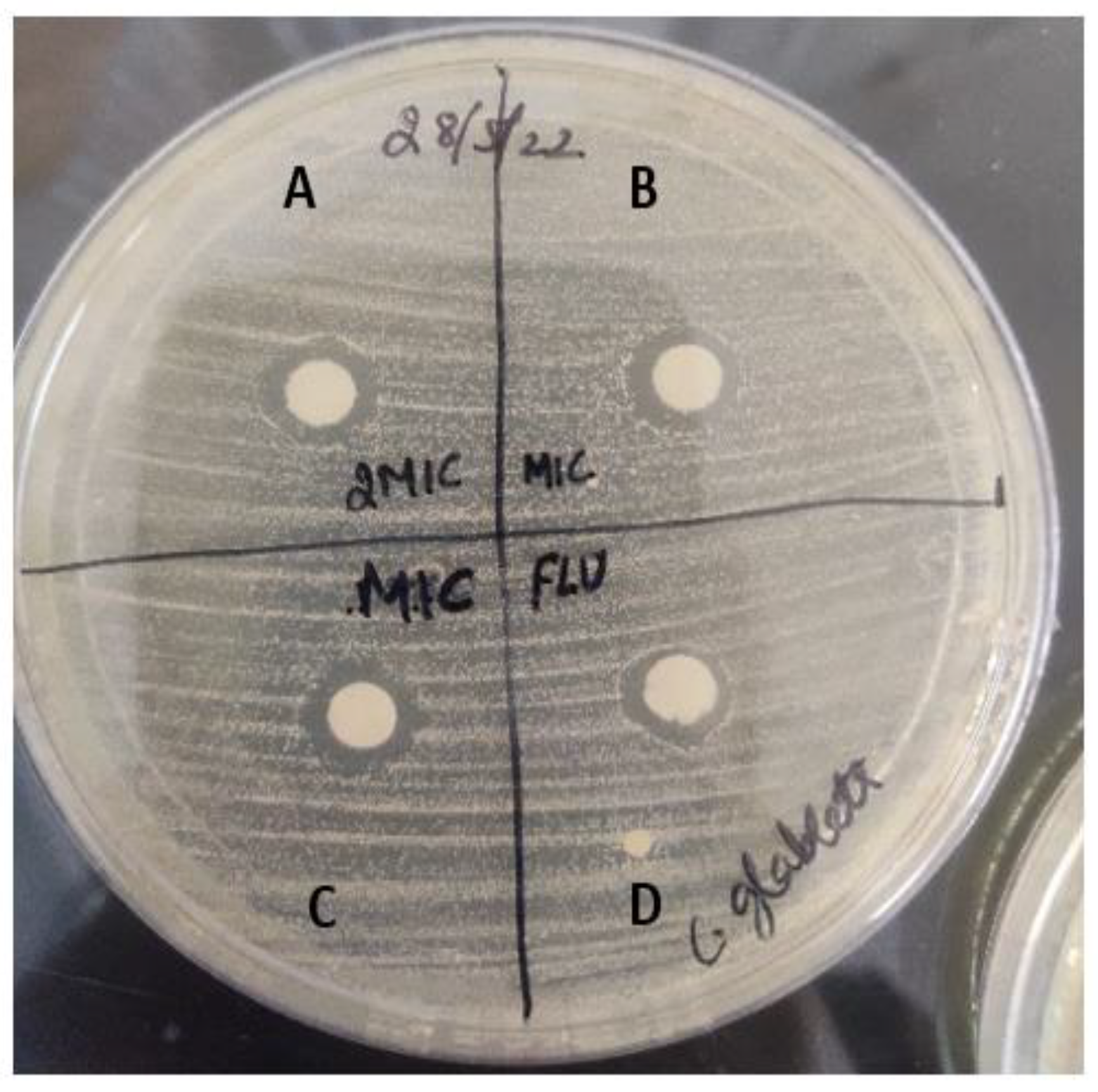 Molecules 28 04658 g007 Molecules 28 04658 g007