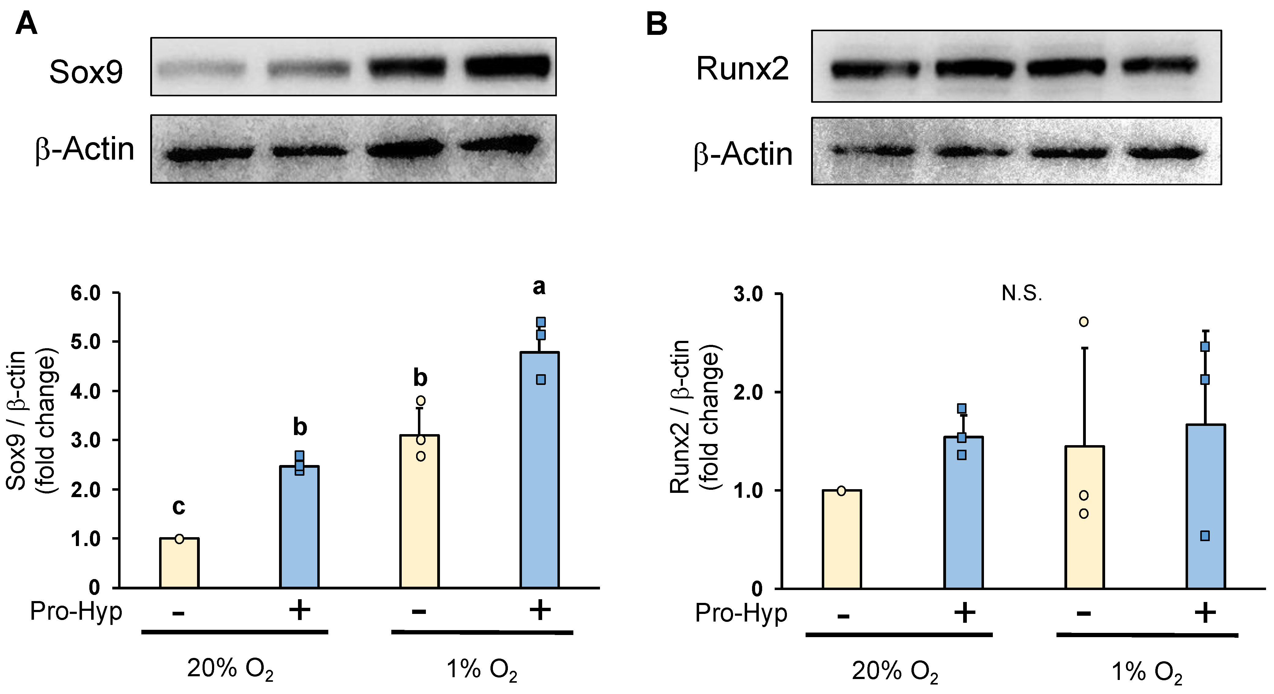 Molecules 28 04664 g003 Molecules 28 04664 g003