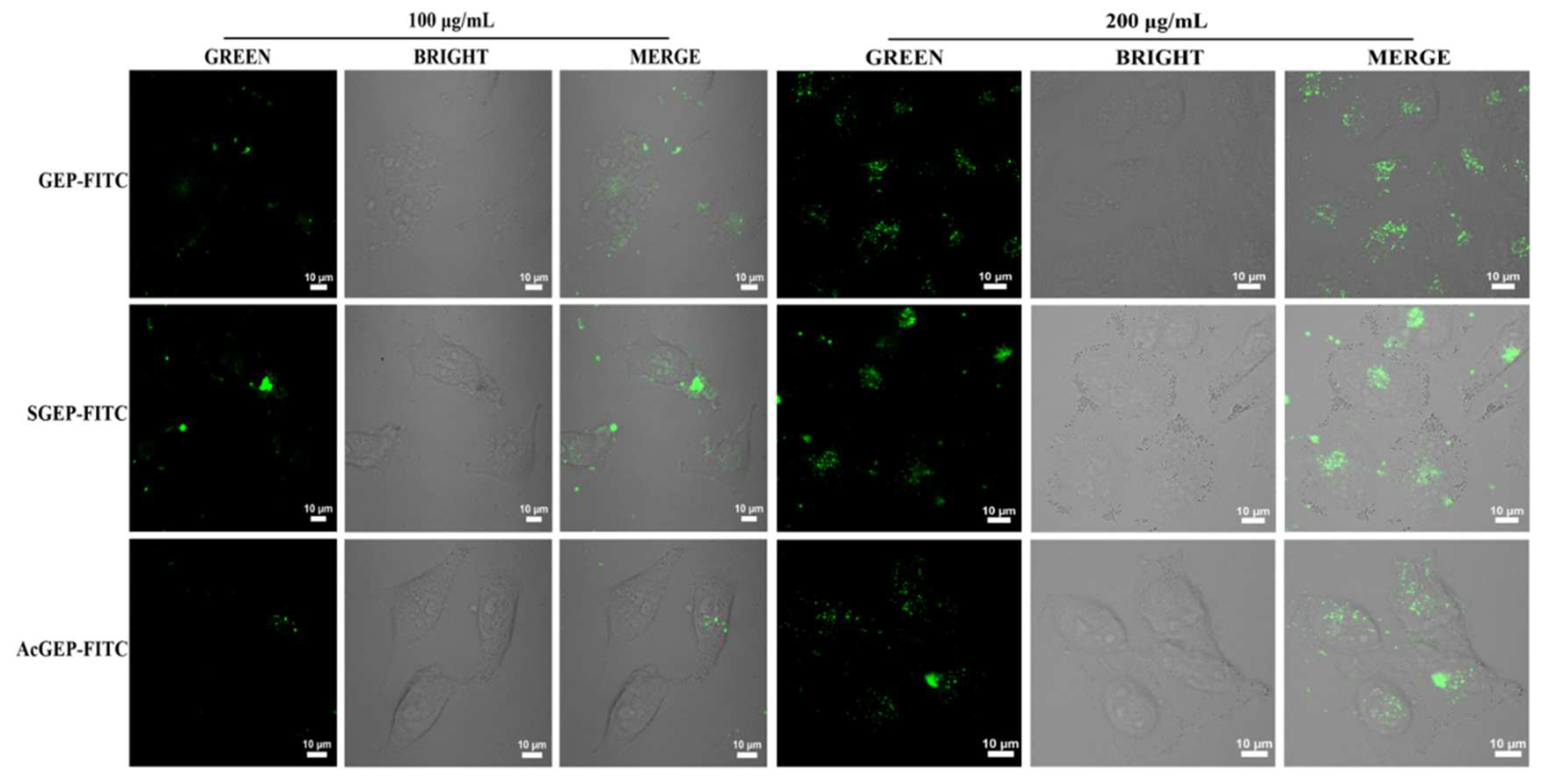 Molecules 28 04669 g006