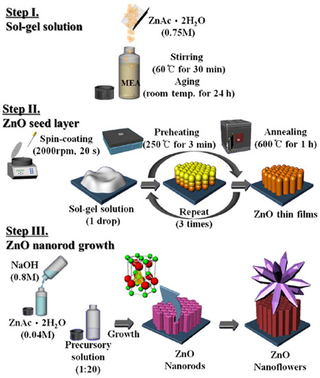 shio様 Reactive Oxygen Species and Antioxidant Defense in Plants