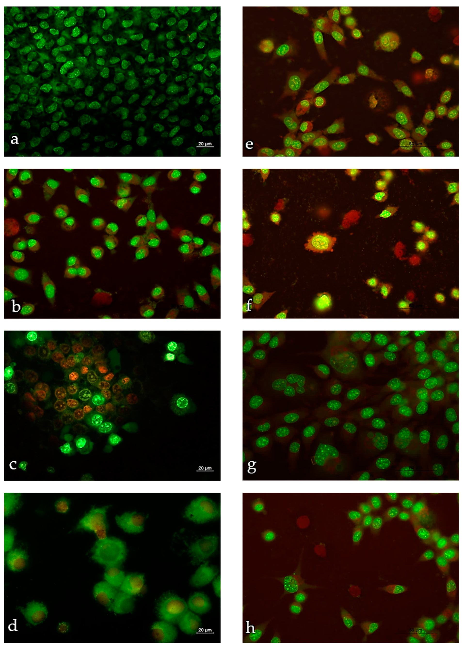 Molecules 28 04676 g009 Molecules 28 04676 g009