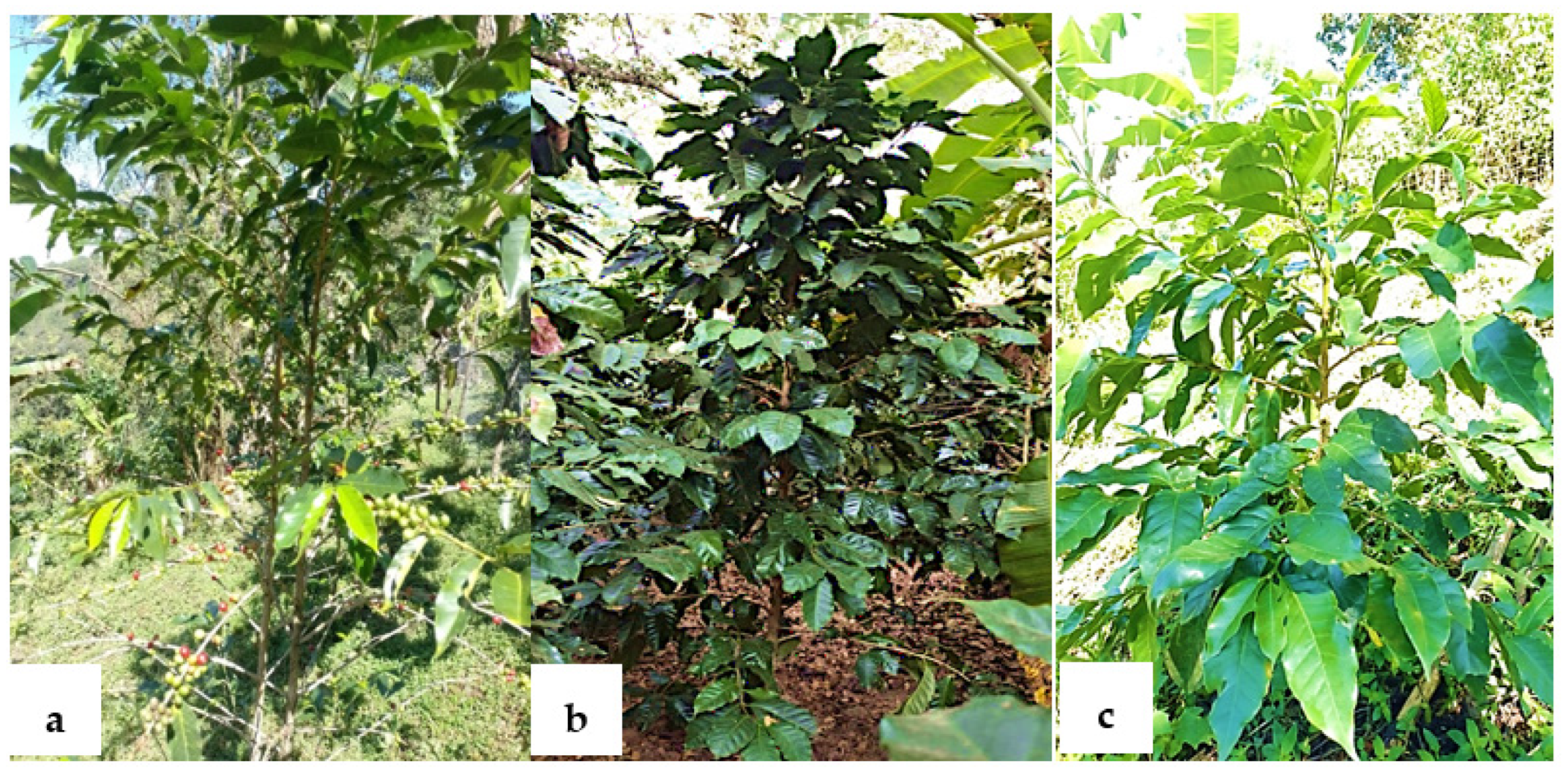 Molecules 28 04685 g003 Molecules 28 04685 g003