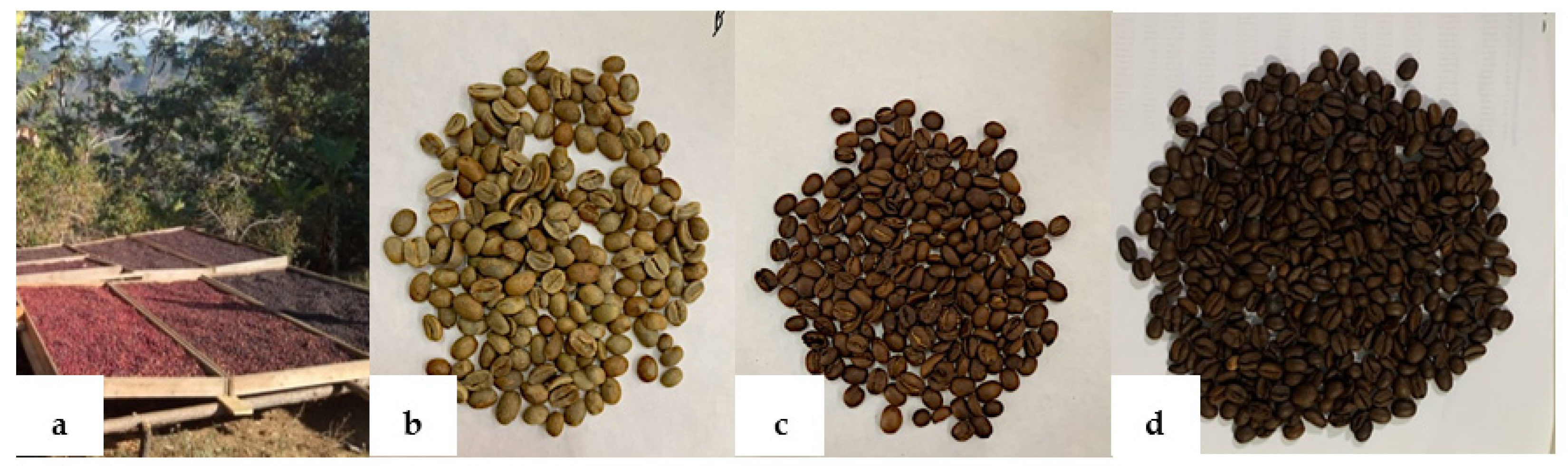 Molecules 28 04685 g004 Molecules 28 04685 g004