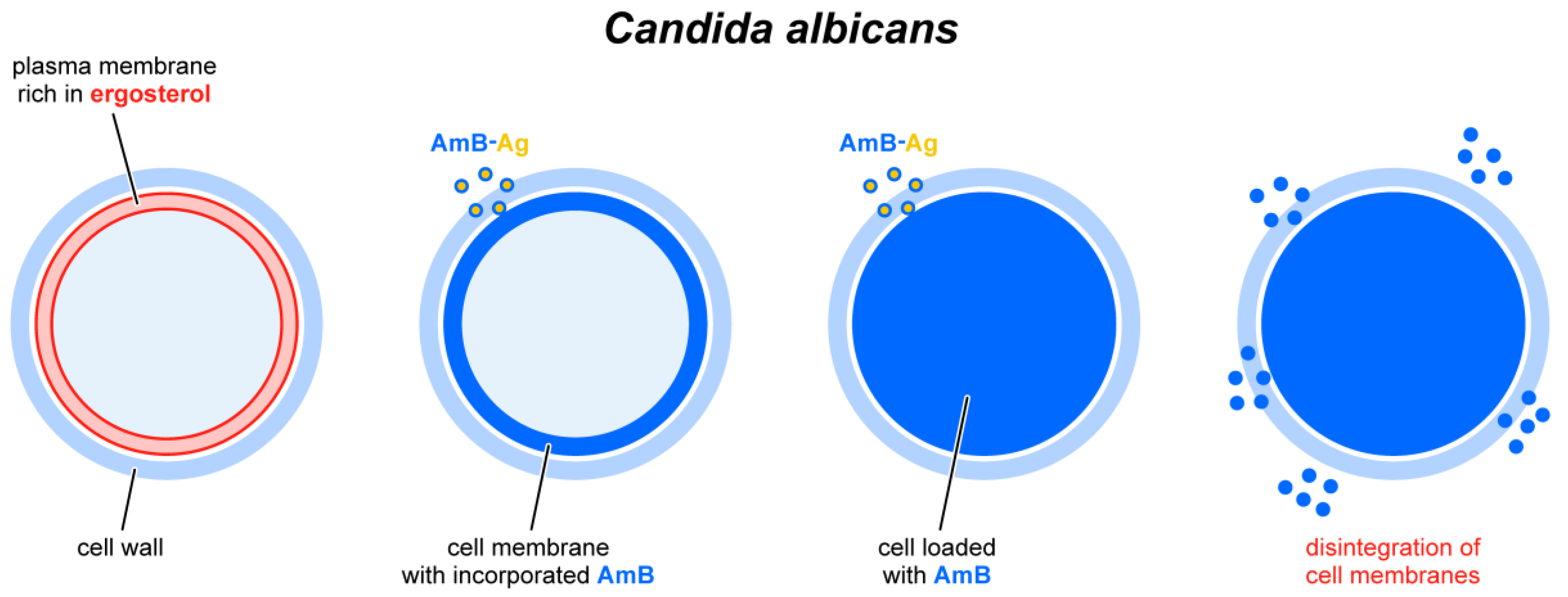 Molecules 28 04687 g005