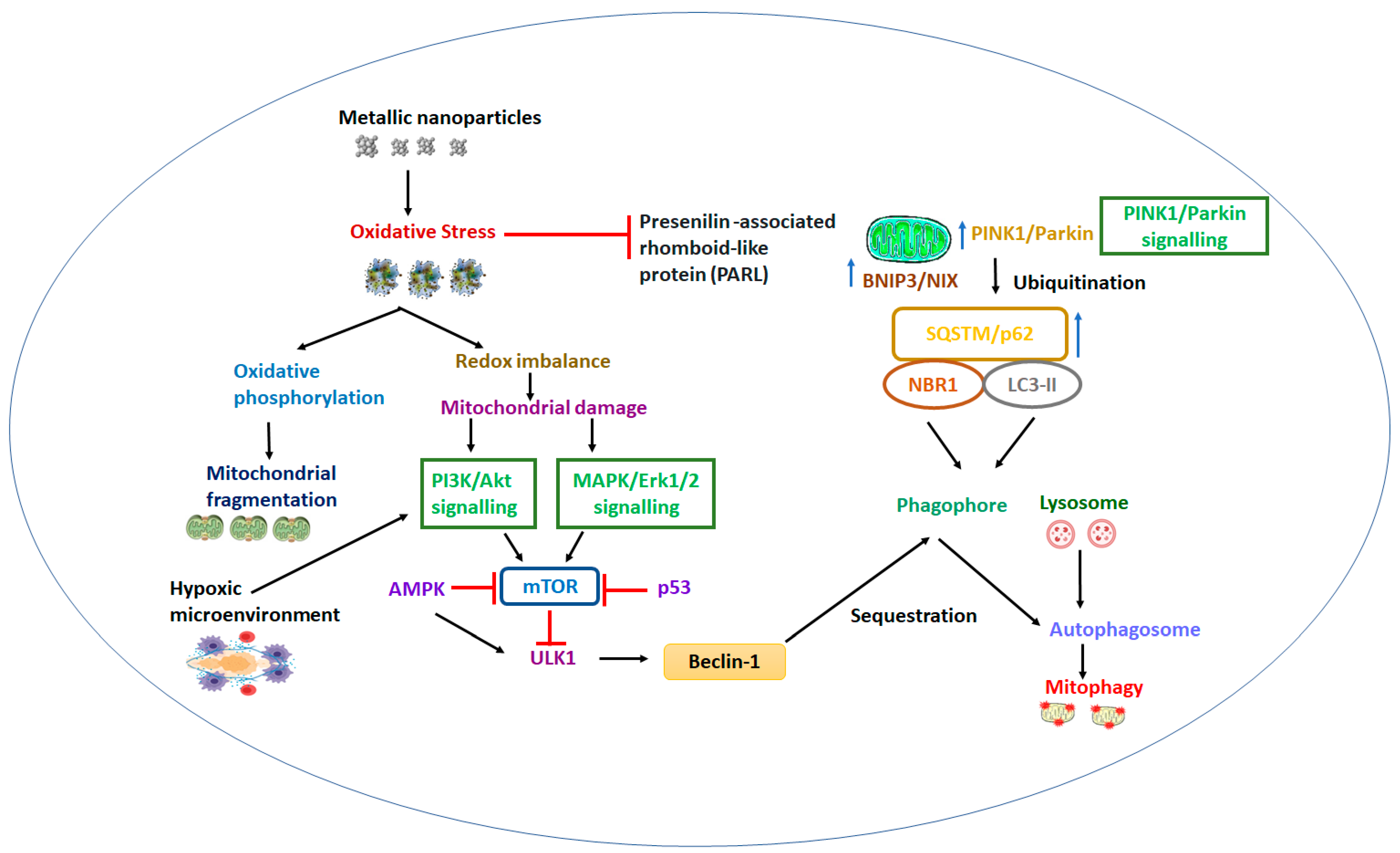 Molecules 28 04701 g003 Molecules 28 04701 g003