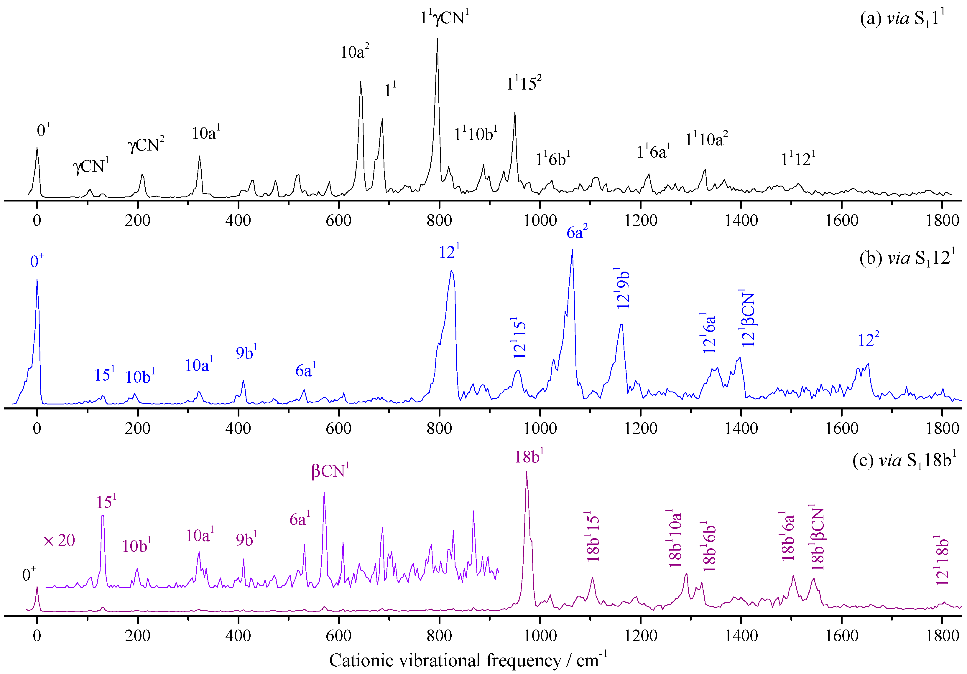 Molecules 28 04702 g005