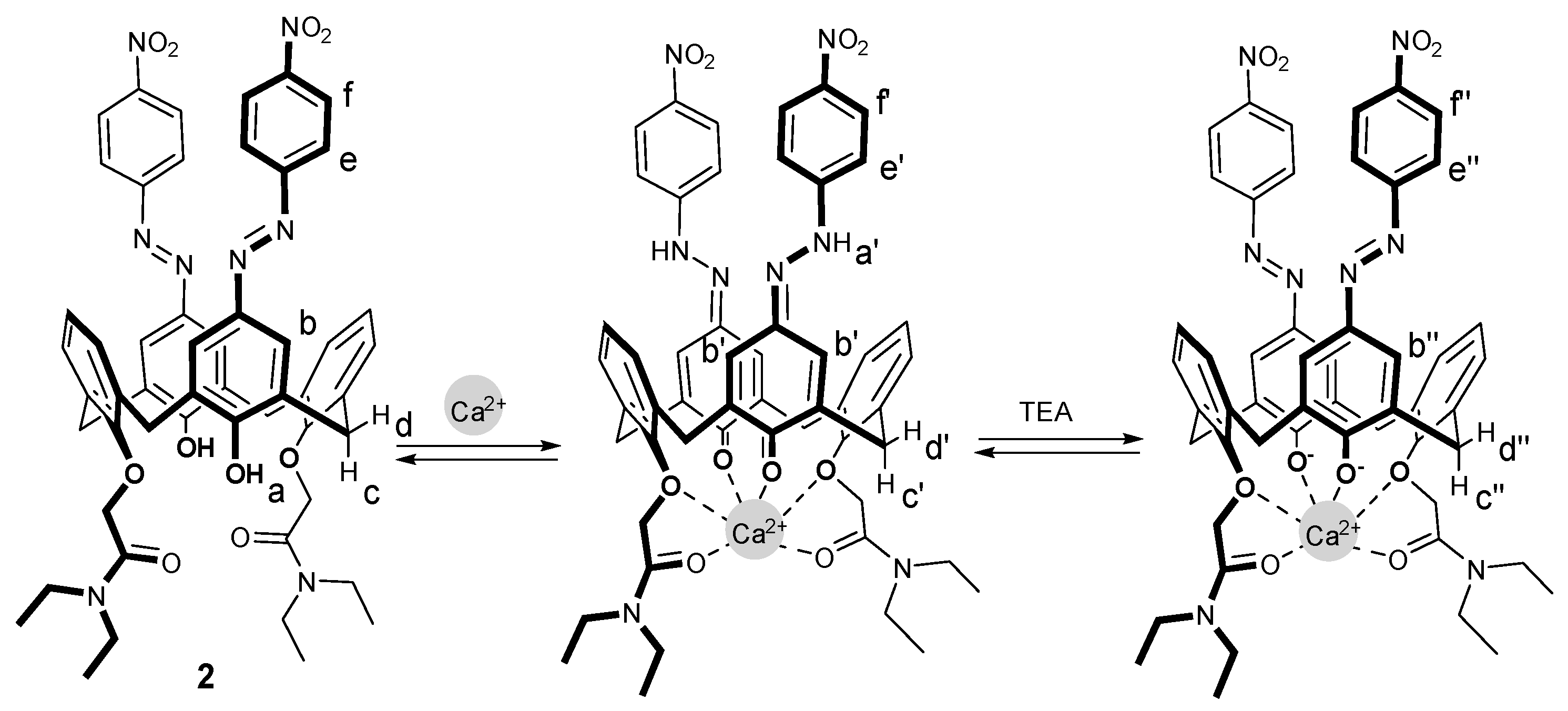Molecules 28 04704 g005a