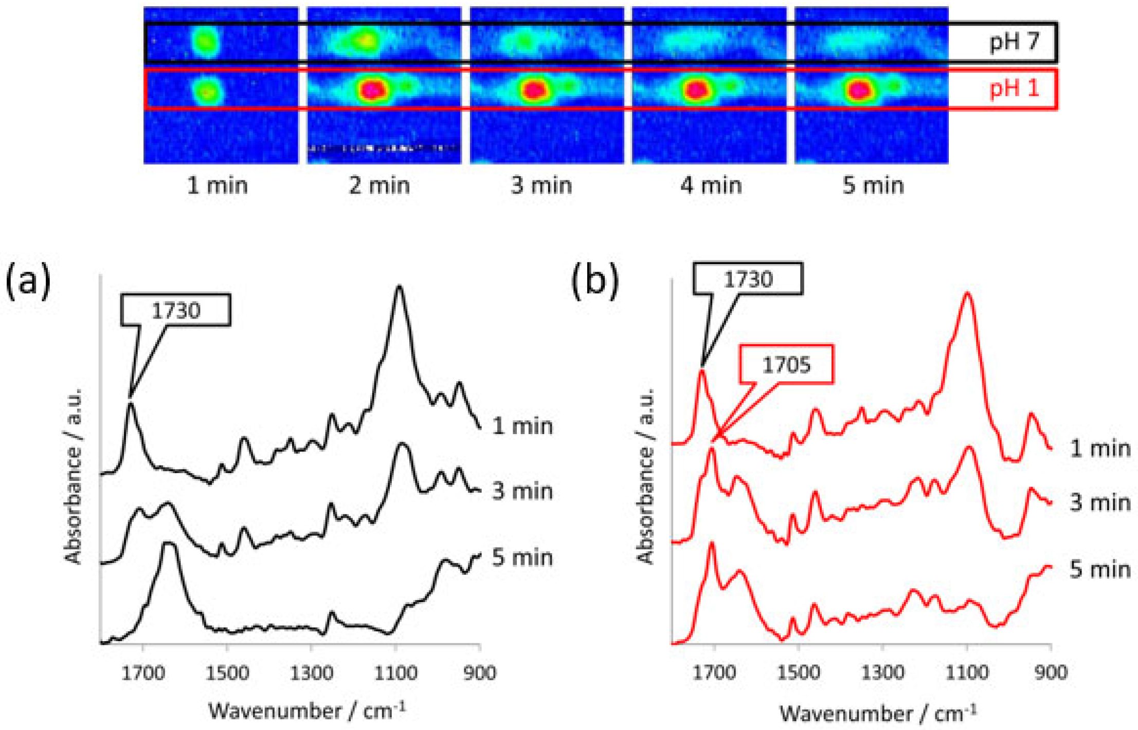 Molecules 28 04705 g009 Molecules 28 04705 g009