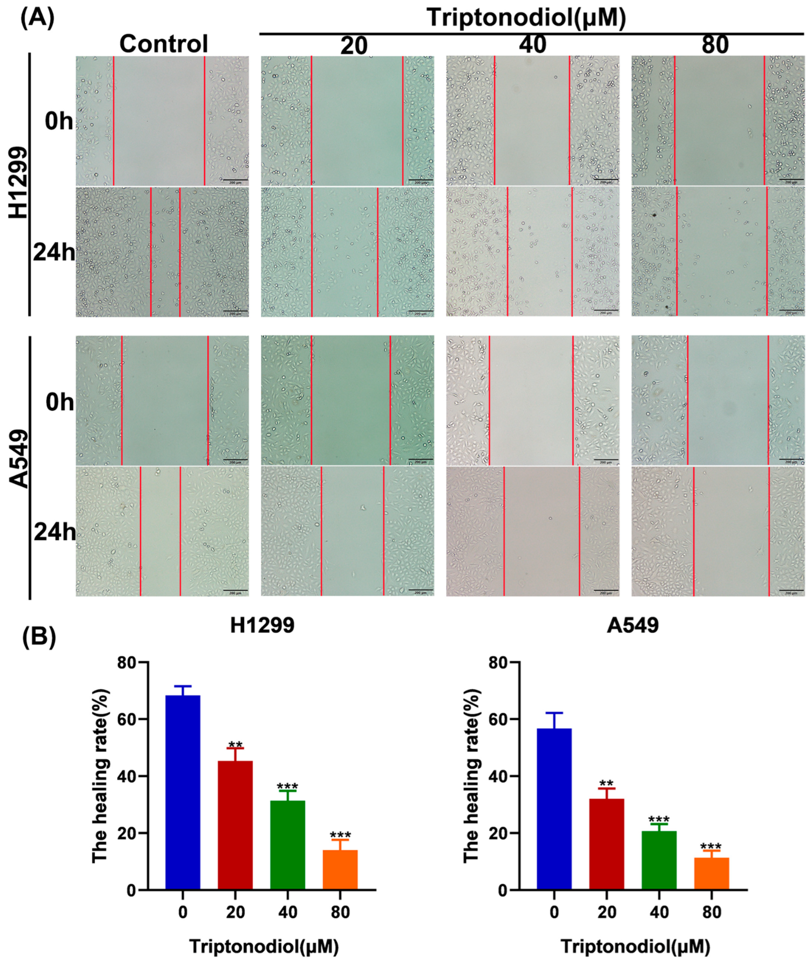 Molecules 28 04708 g002